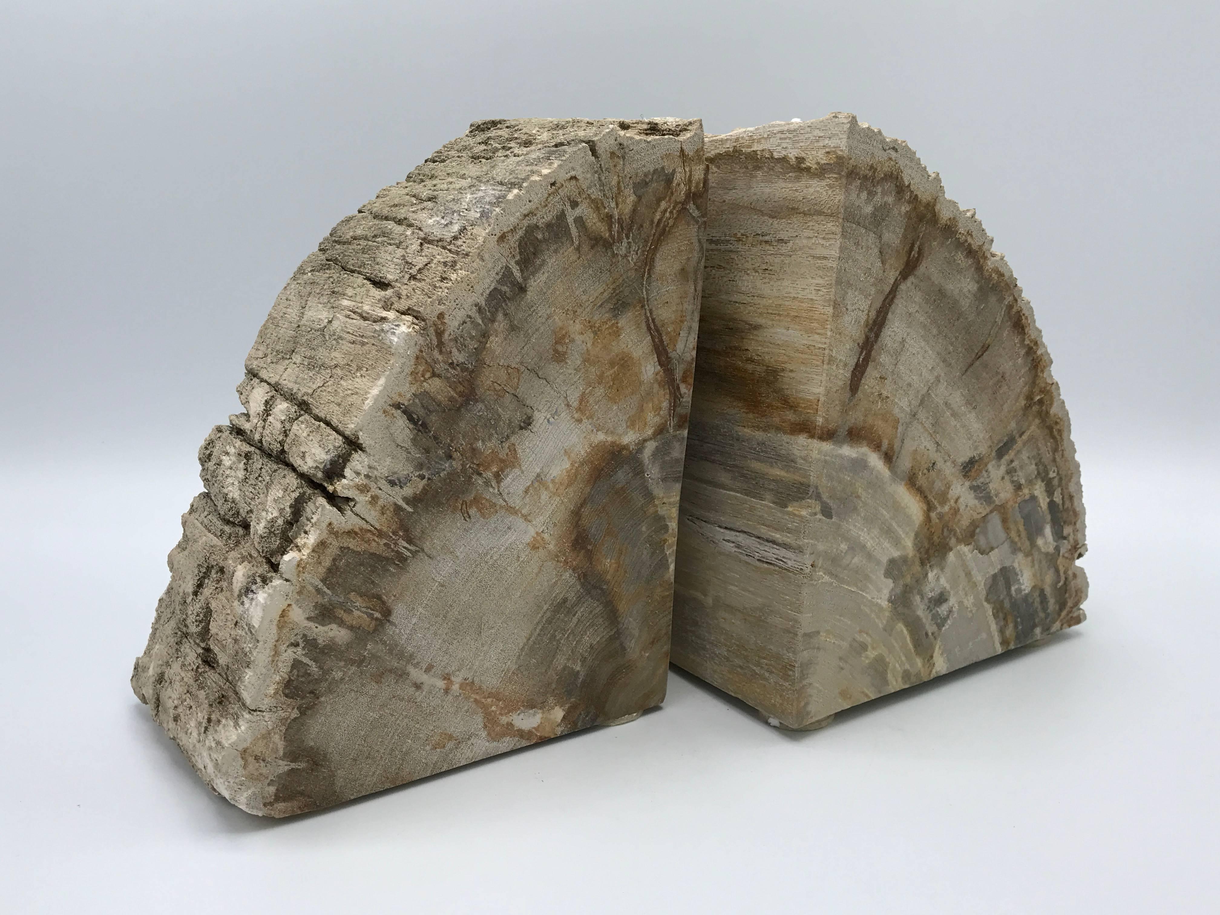Offered is a stunning pair of 1950s petrified wood bookends. Approx. weight is 25ibs for the pair, great for large books.