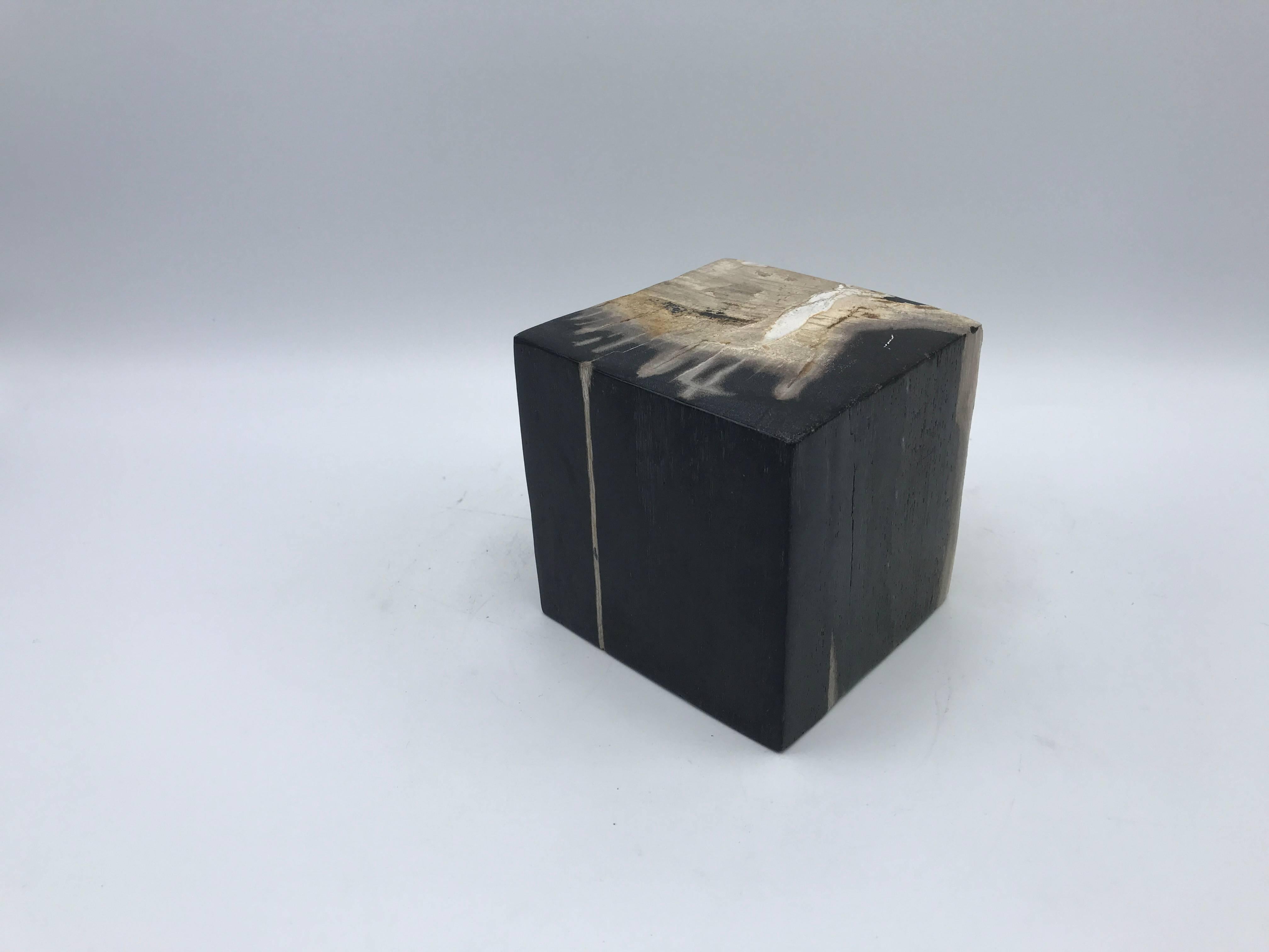 Offered is a beautiful, 1950s petrified wood cube objet. Great paperweight or bookend.