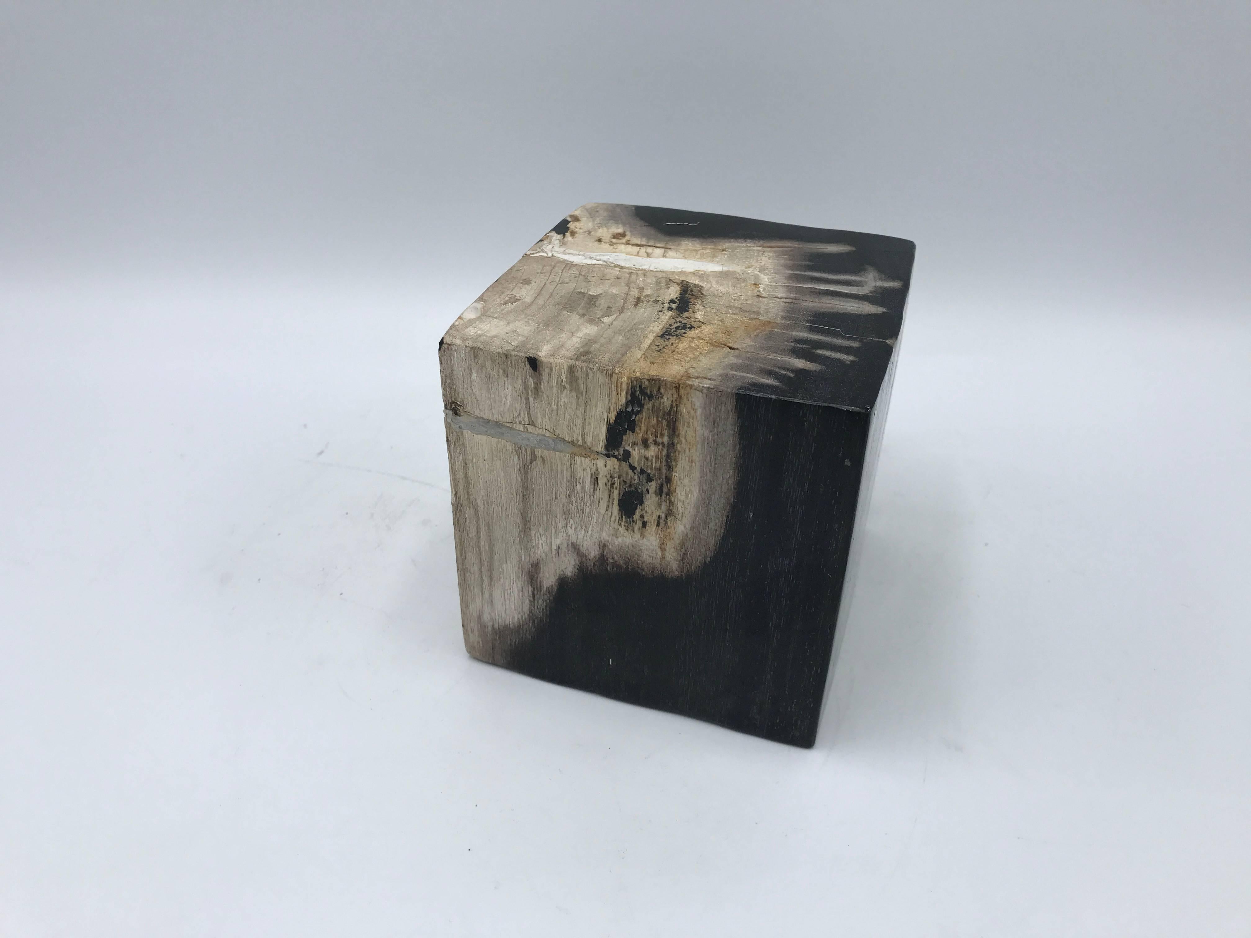 Mid-Century Modern 1950s Petrified Wood Cube Objet