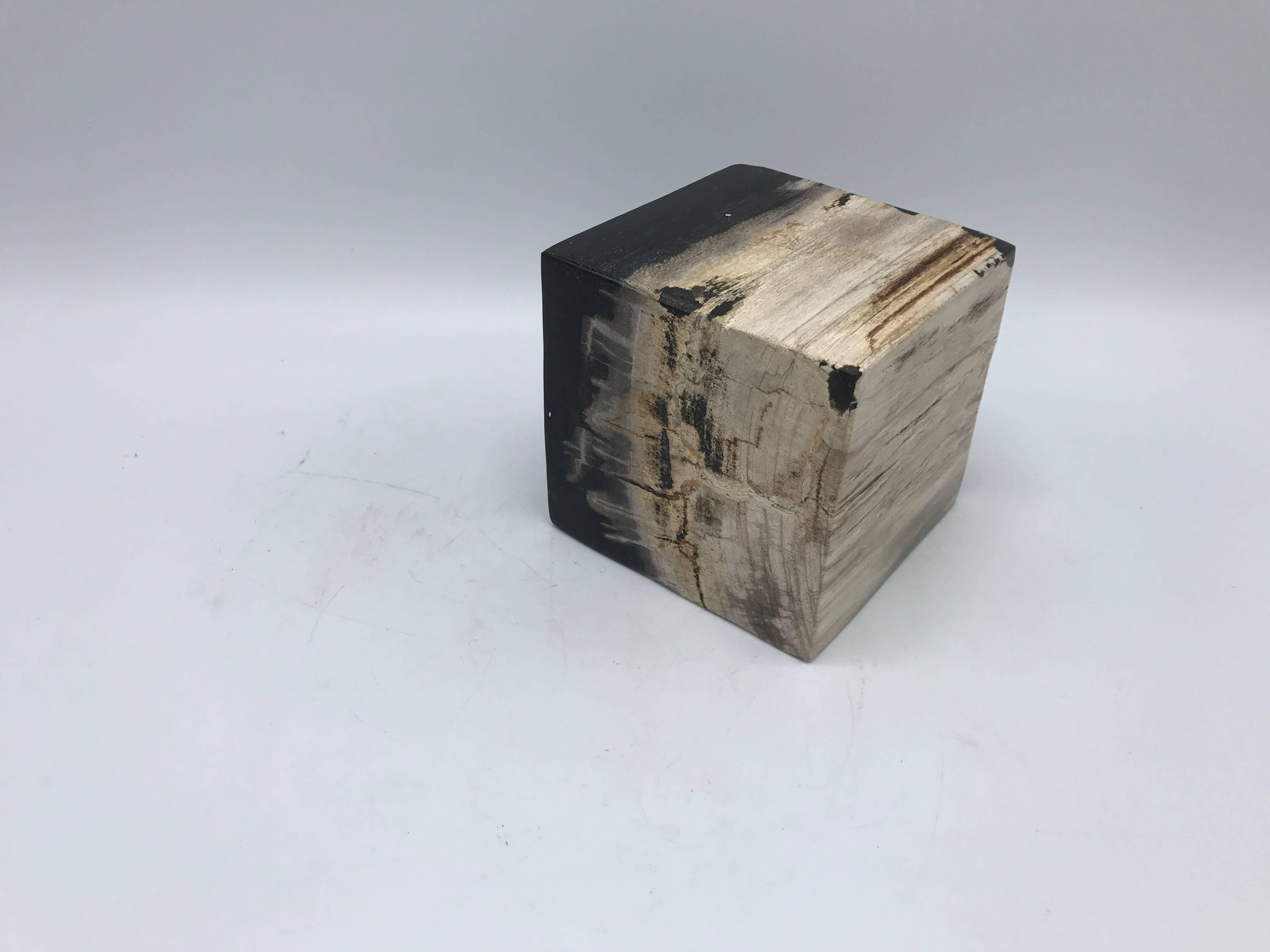 Mid-Century Modern 1950s Petrified Wood Cube Objet