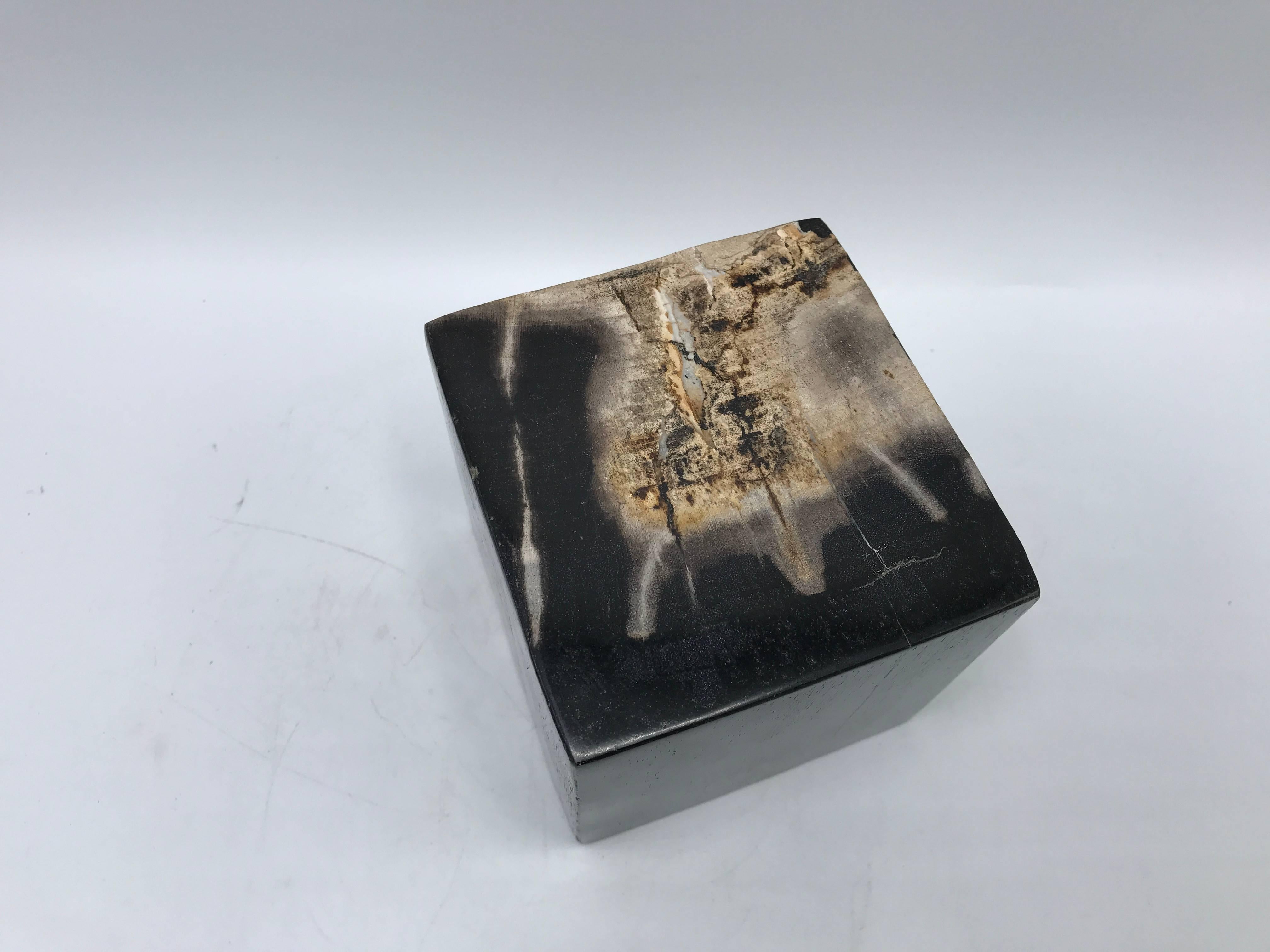 20th Century 1950s Petrified Wood Cube Objet