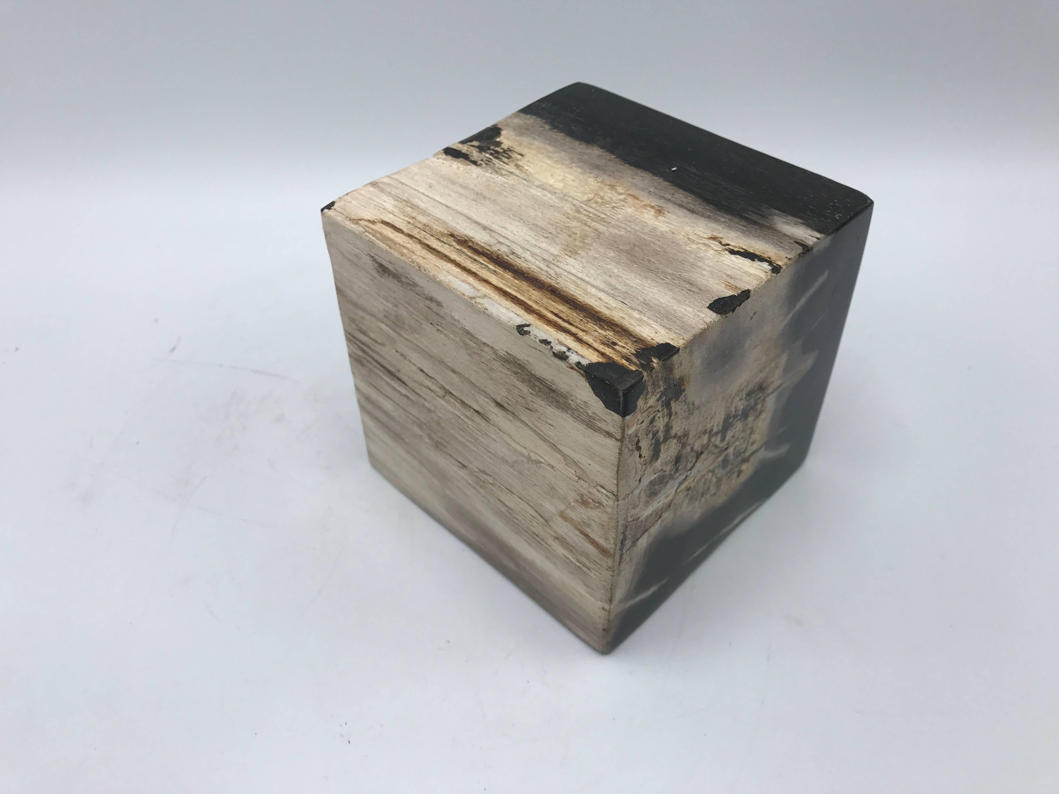 1950s Petrified Wood Cube Objet In Excellent Condition In Richmond, VA