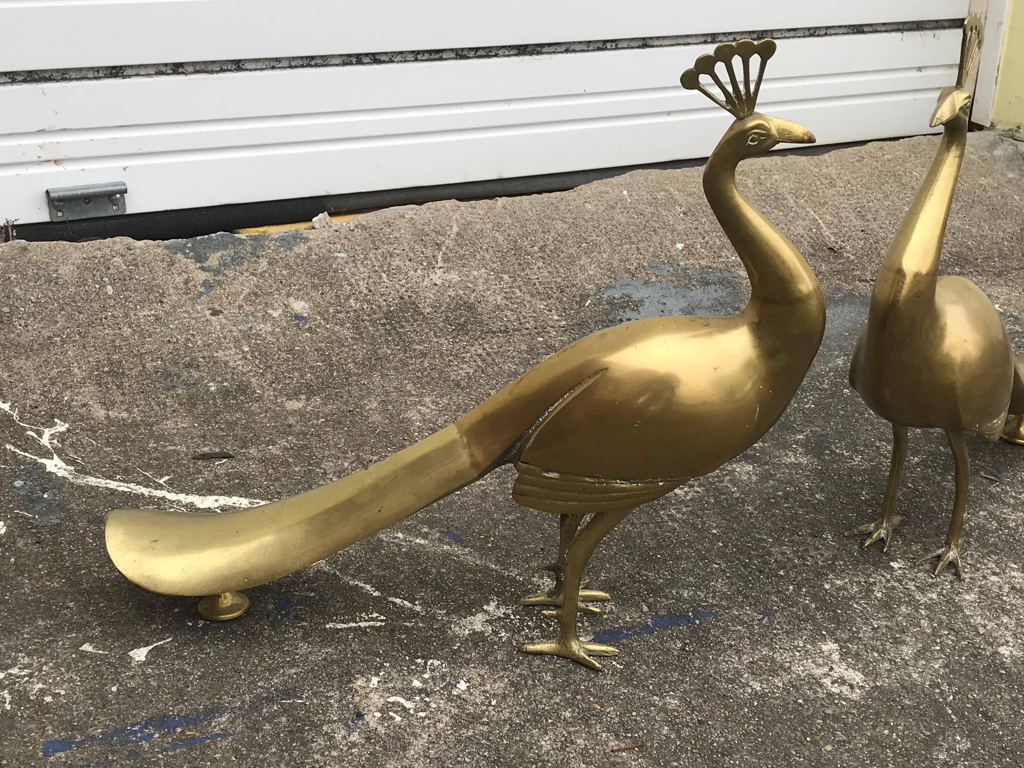 Offered is a stunning, pair of large, 1960s Italian brass peacock sculptures, in the style of Sergio Bustamante. Heavy. They would look fabulous flanking a mantle, fireplace, or entryway.