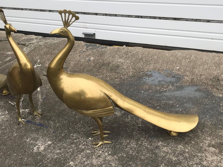 1960s Large Italian Brass Peacock Sculptures, Pair at 1stDibs