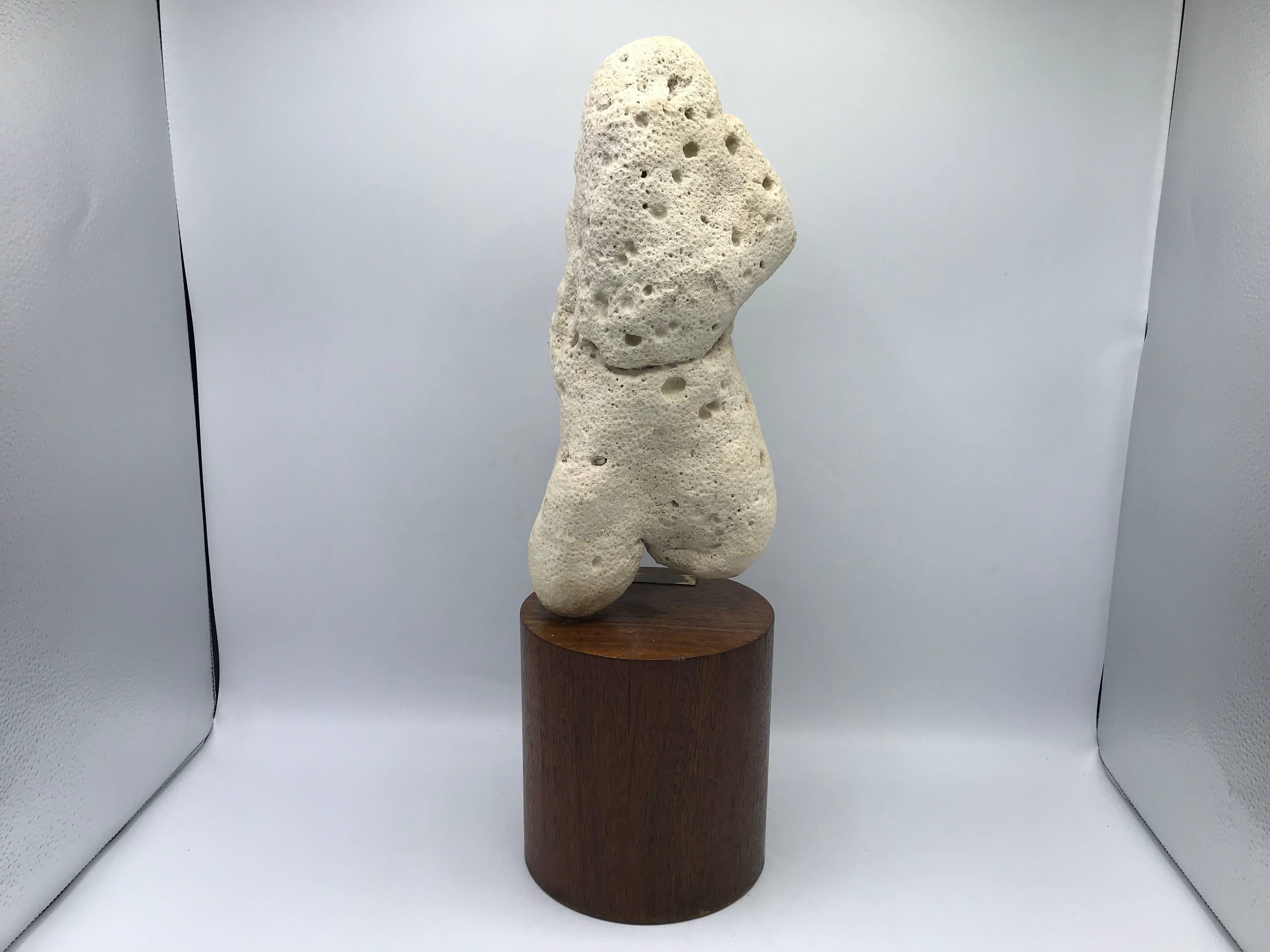 Caymanian 1970s Large Coral ‘Cayman Venus’ Specimen on Stand