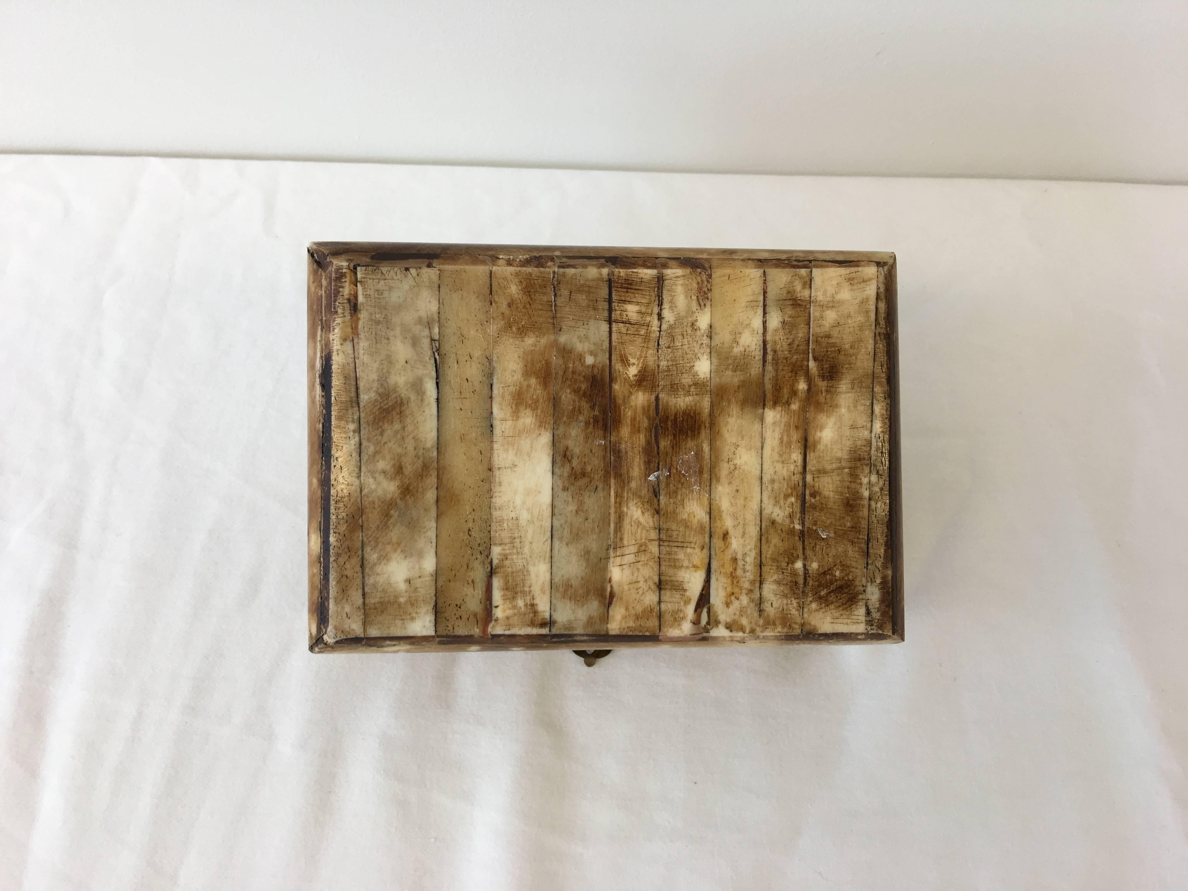 19th Century Bone and Brass Decorative Box 4