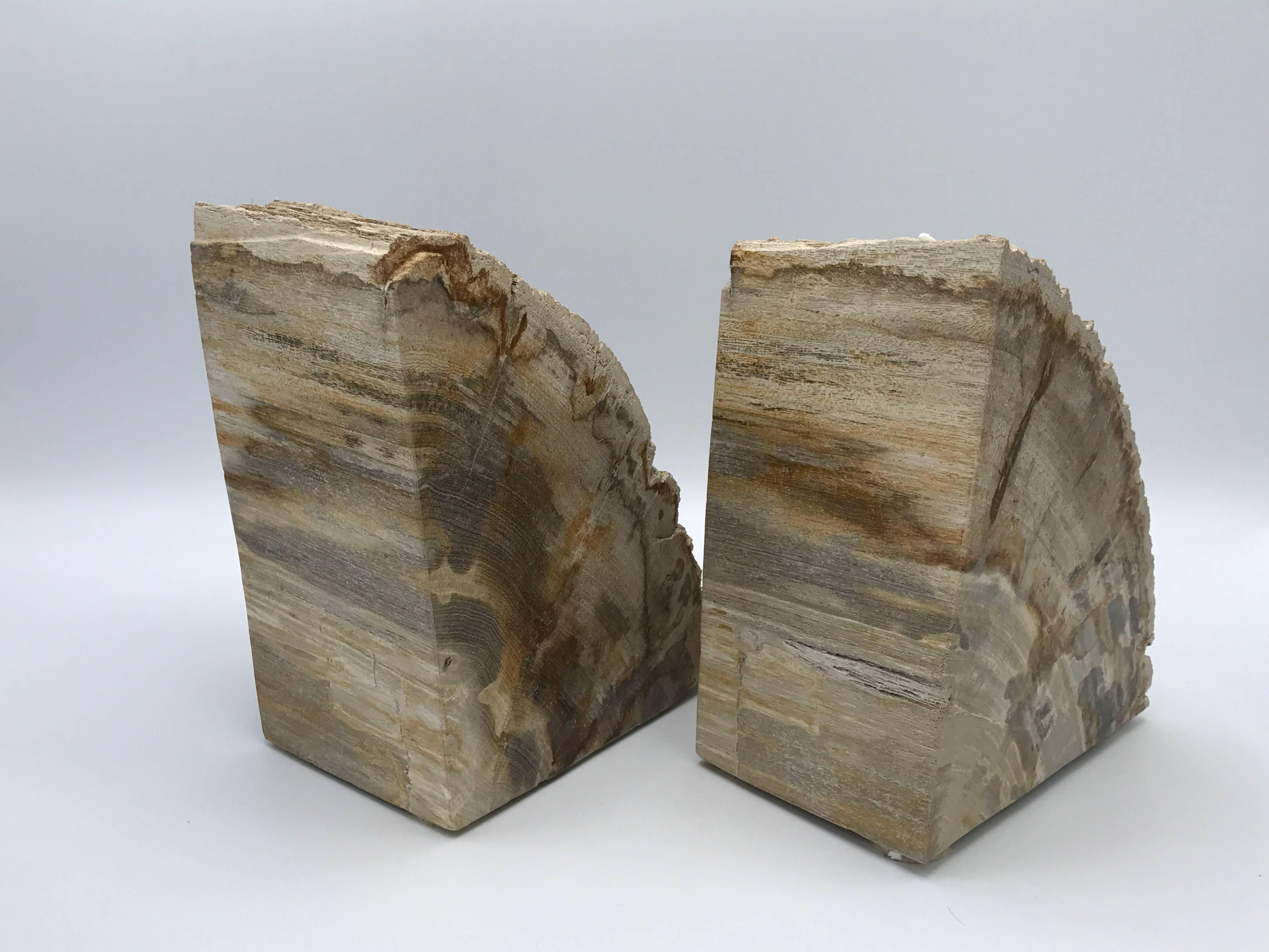 Mid-Century Modern 1950s Petrified Wood Bookends, Pair