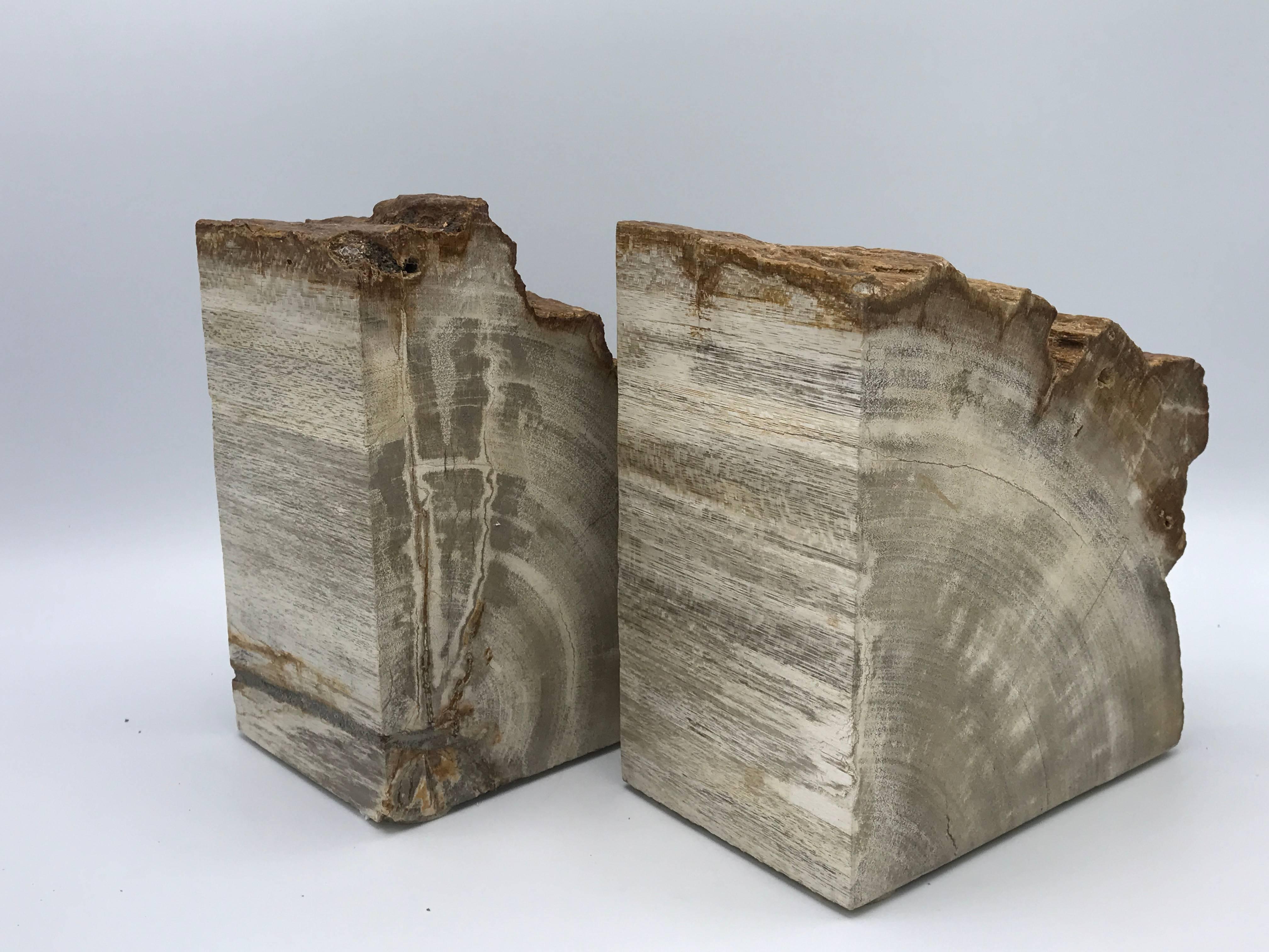 Offered is a stunning pair of 1950s petrified wood bookends. Approx. weight is 25ibs for the pair, great for large books.