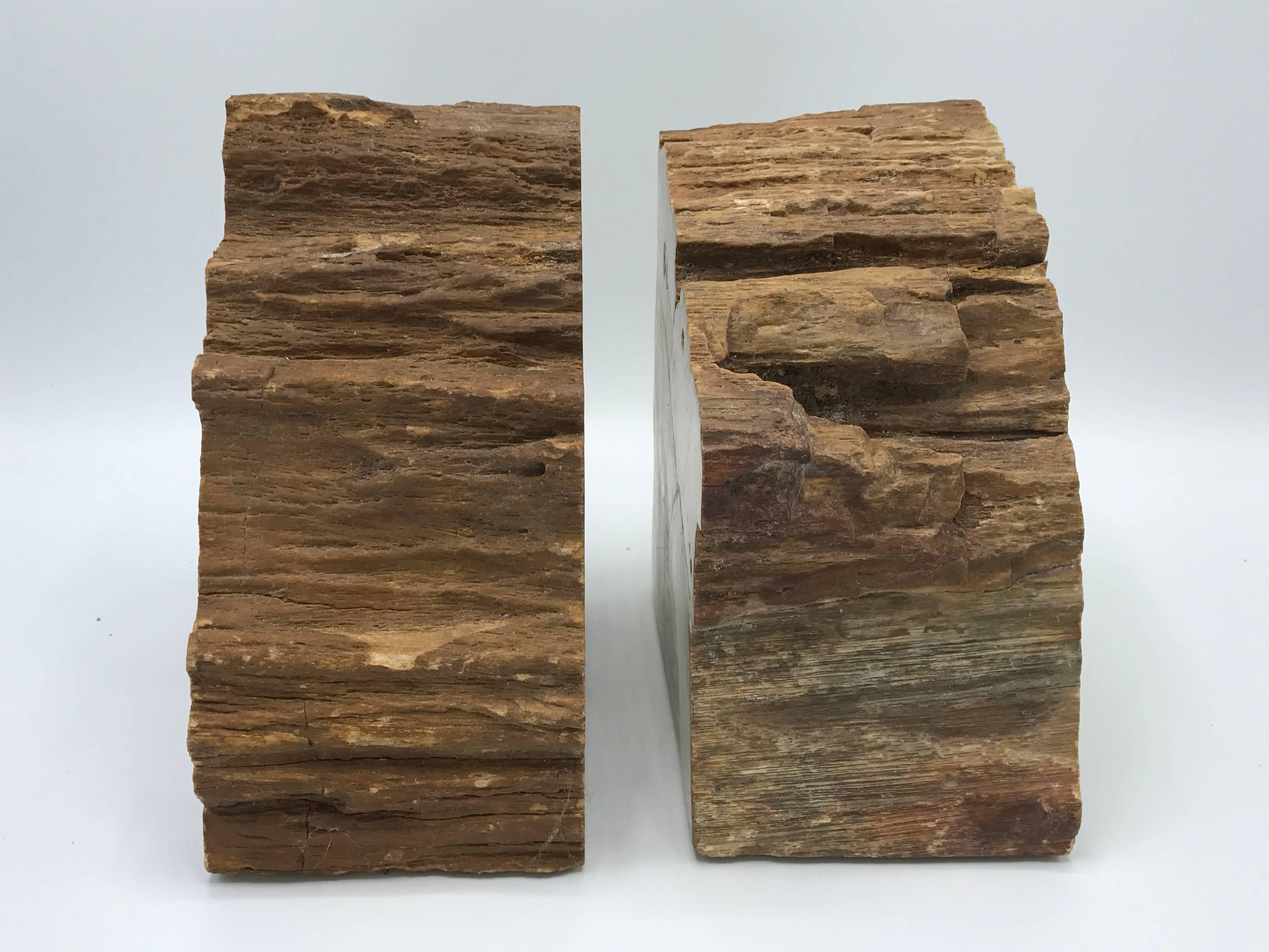 Mid-Century Modern 1950s Petrified Wood Bookends, Pair