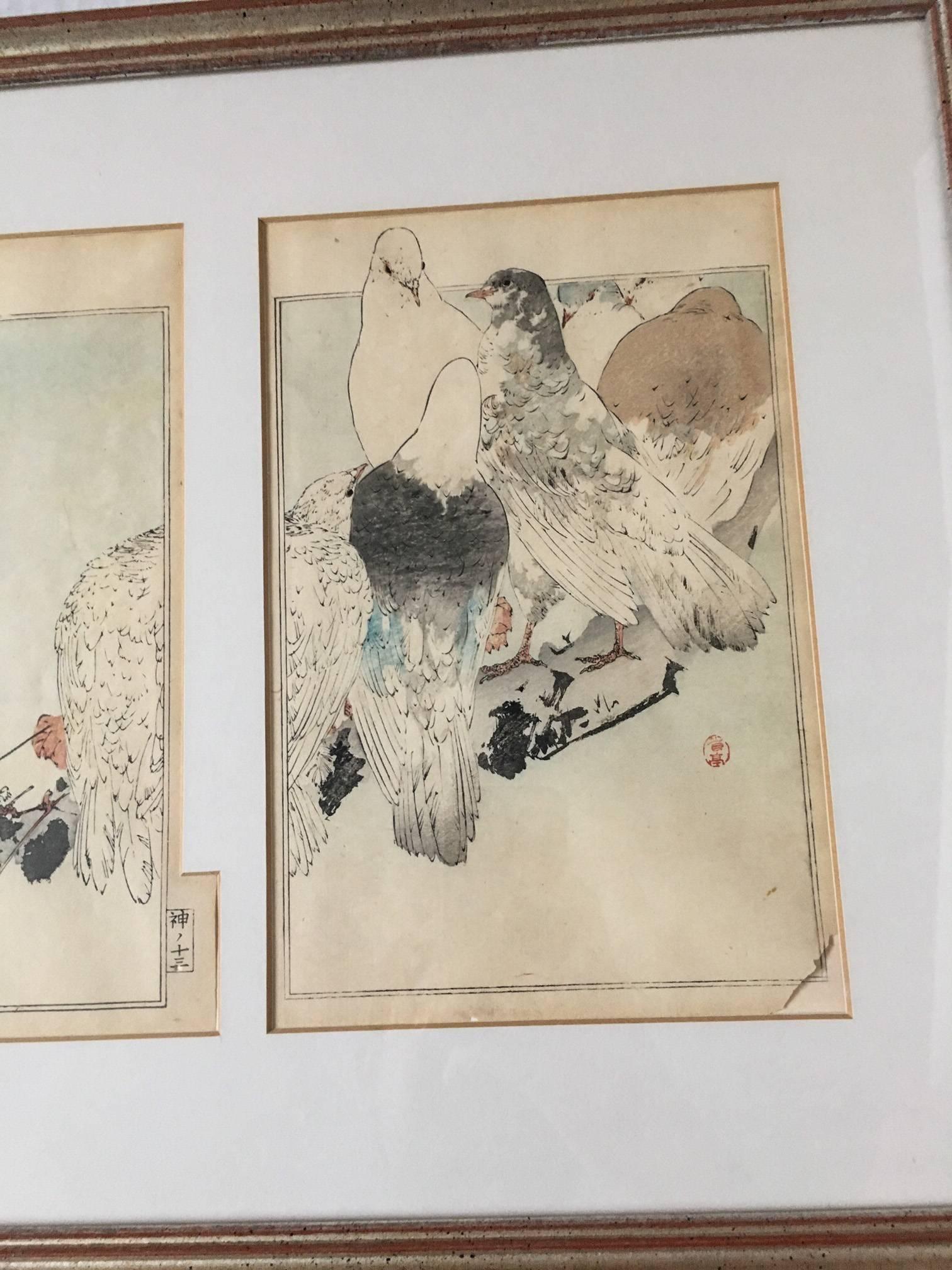 Hand-Painted 1960s Japanese Pen and Watercolor Painting of Five Pigeons on a Branch