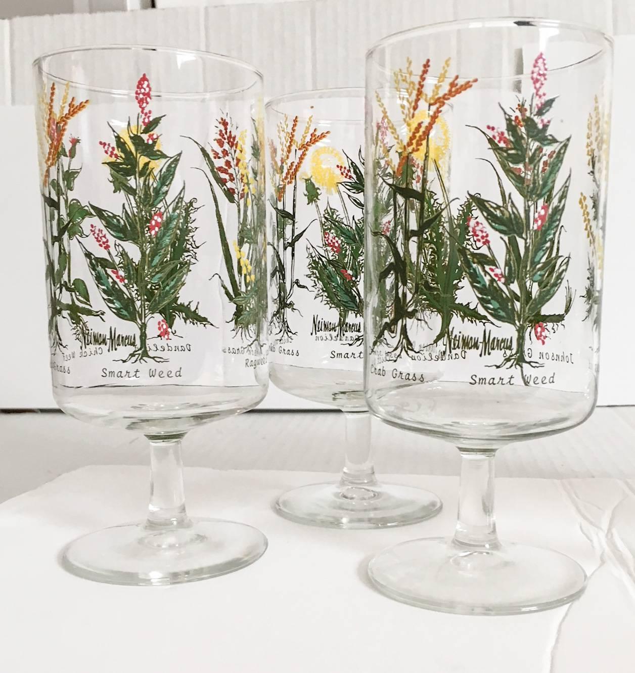 Delightful set of six glass water or iced tea glasses by Neiman-Marcus, circa 1970s. Each glass is decorated with various botanical illustrations, including Johnson Grass, Dandelion, Chick Weed, Crab Grass, Smart Weed, and Ragweed. Measure: Each,