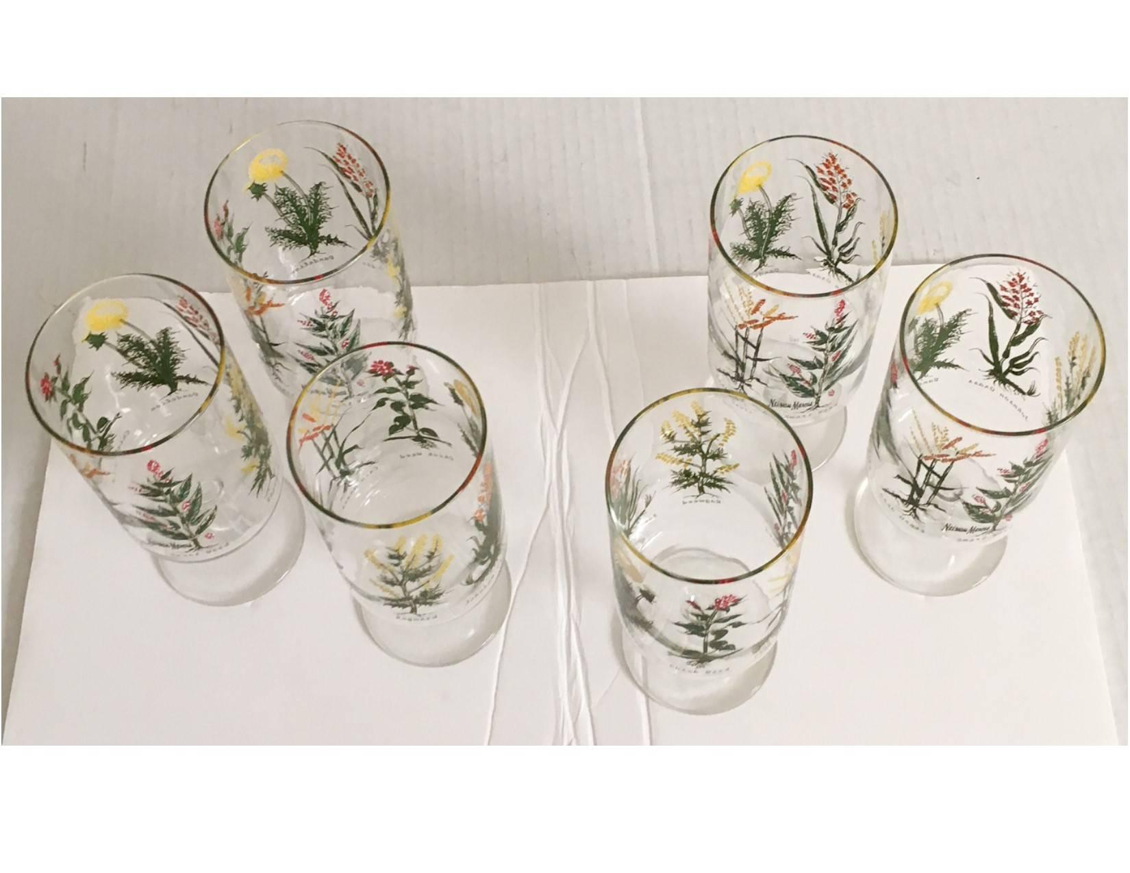 Country Neiman-Marcus Botanical Glasses, Set of Six
