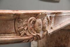 Antique French Fireplace Louis XV Region Nuits Saint George