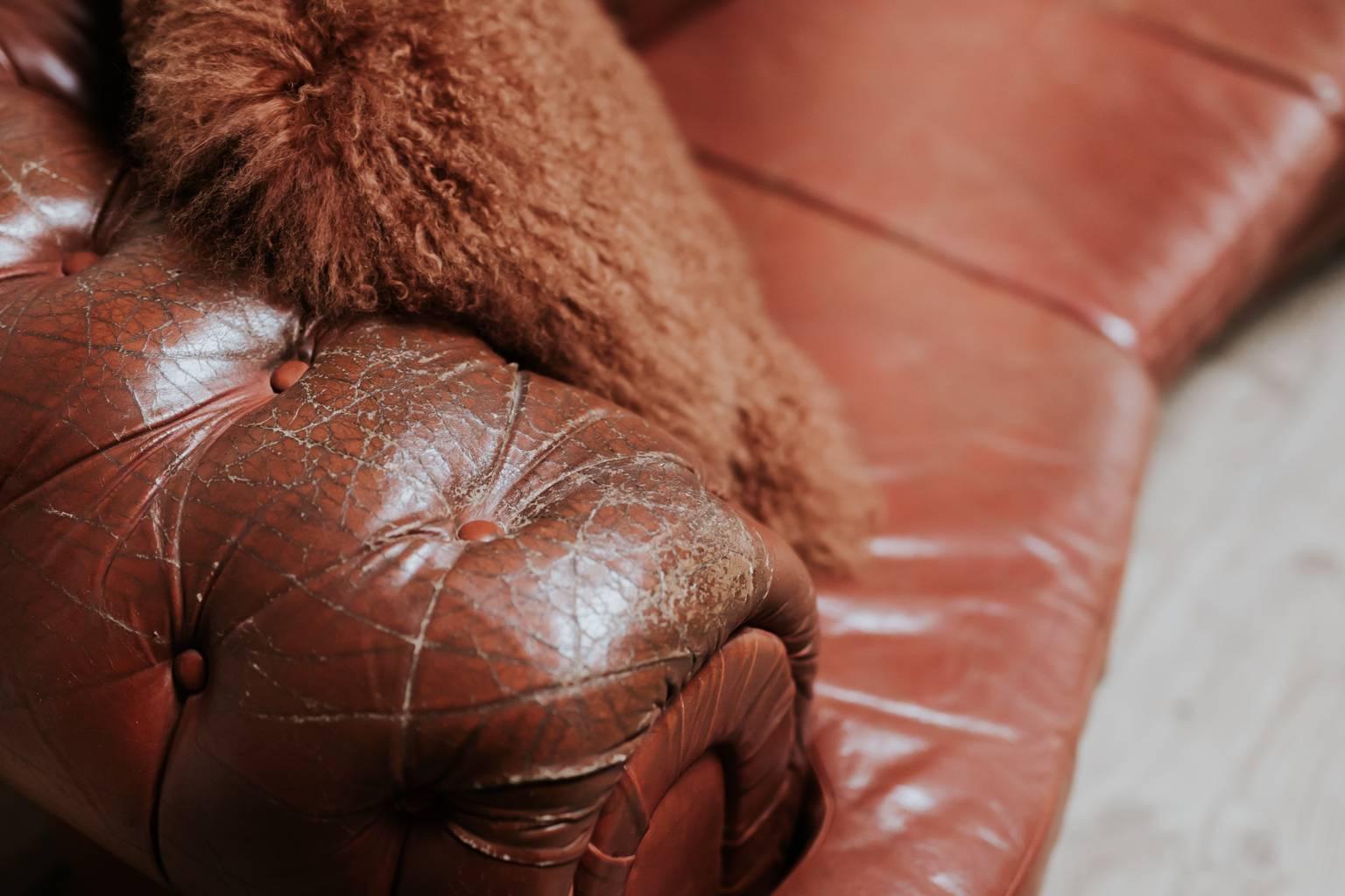 19th Century Red Leather Chesterfield 1