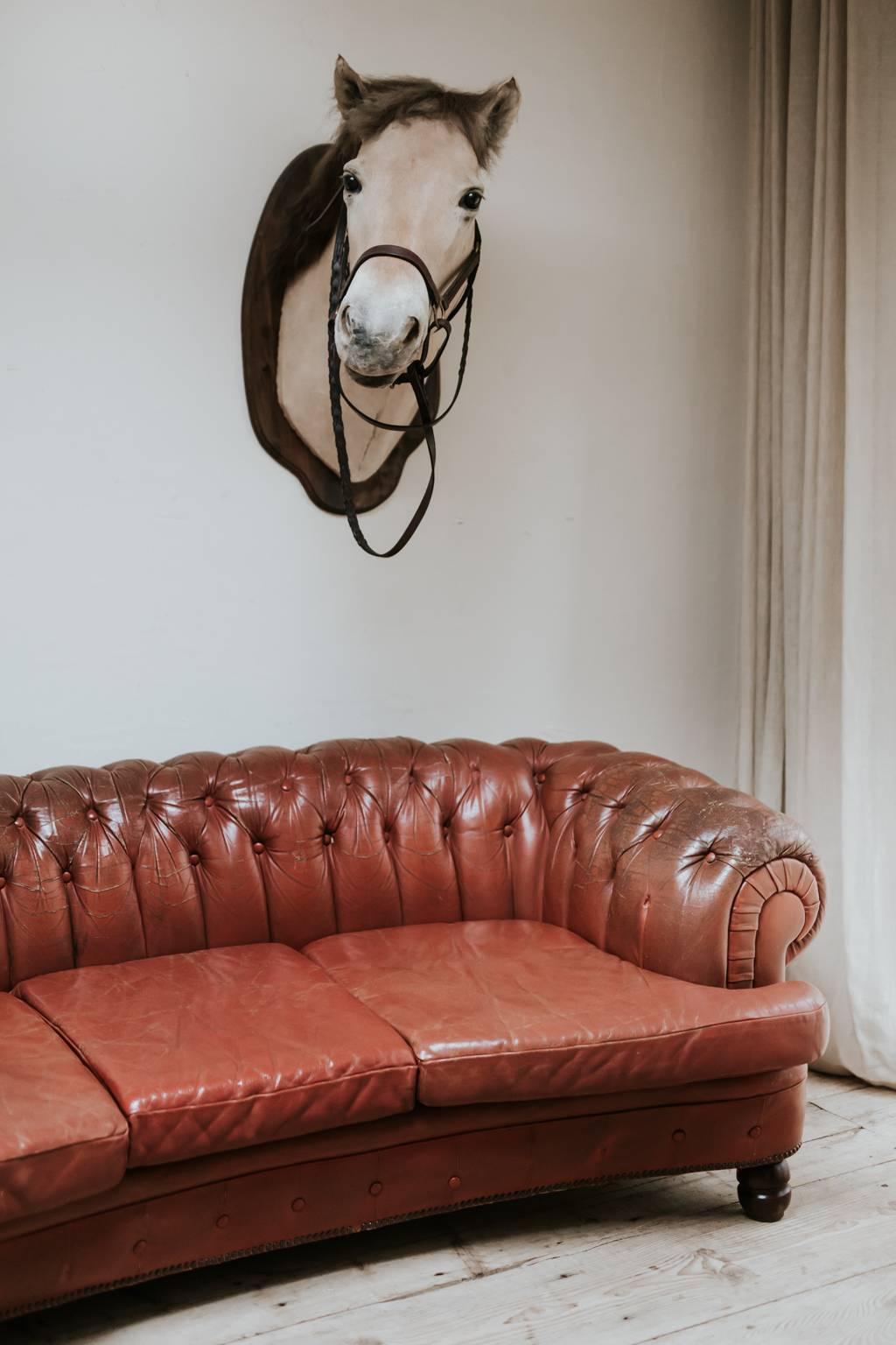 19th Century Red Leather Chesterfield 4