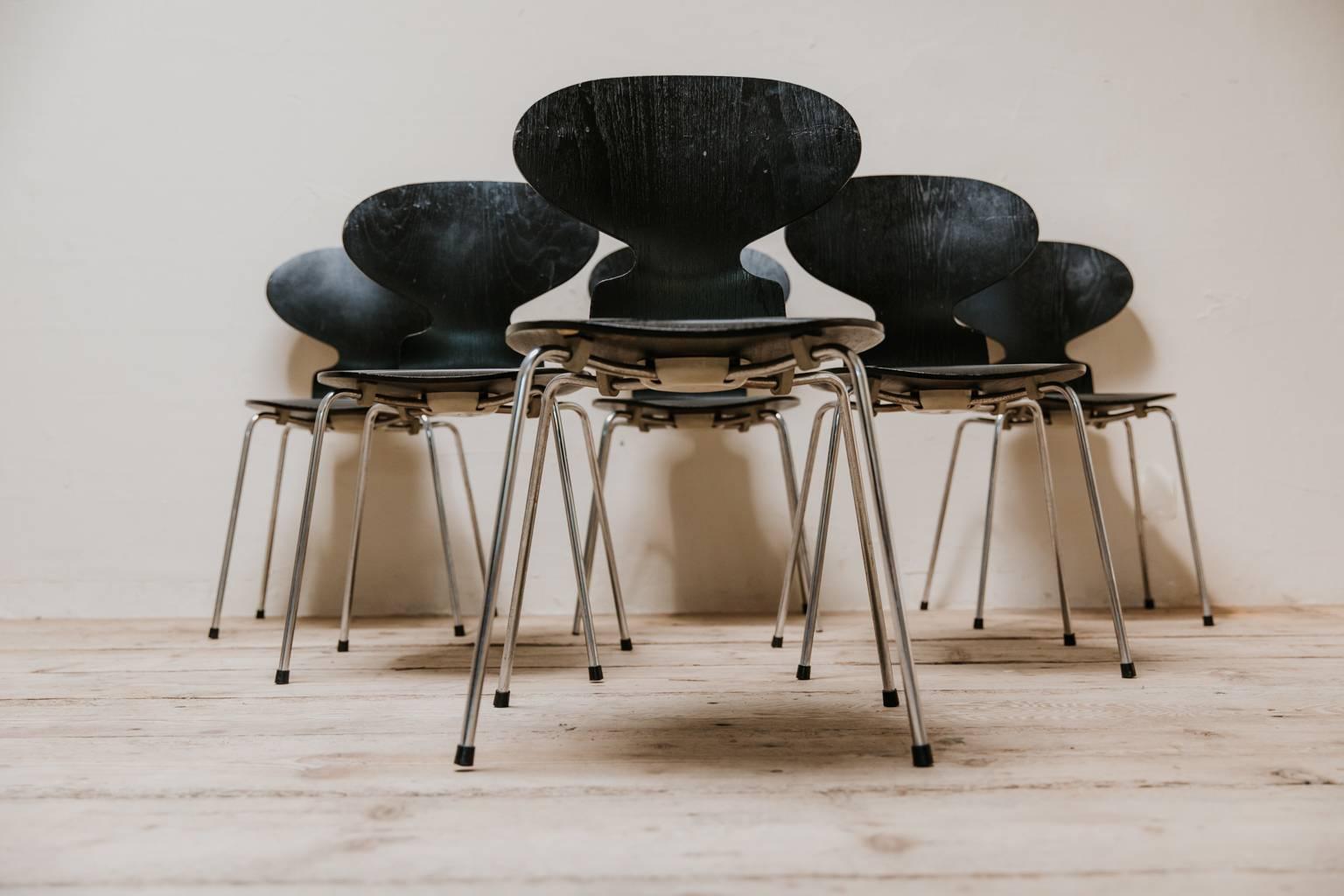 20th Century Set of Six Ant Chairs by Arne Jacobsen for Fritz Hansen 2
