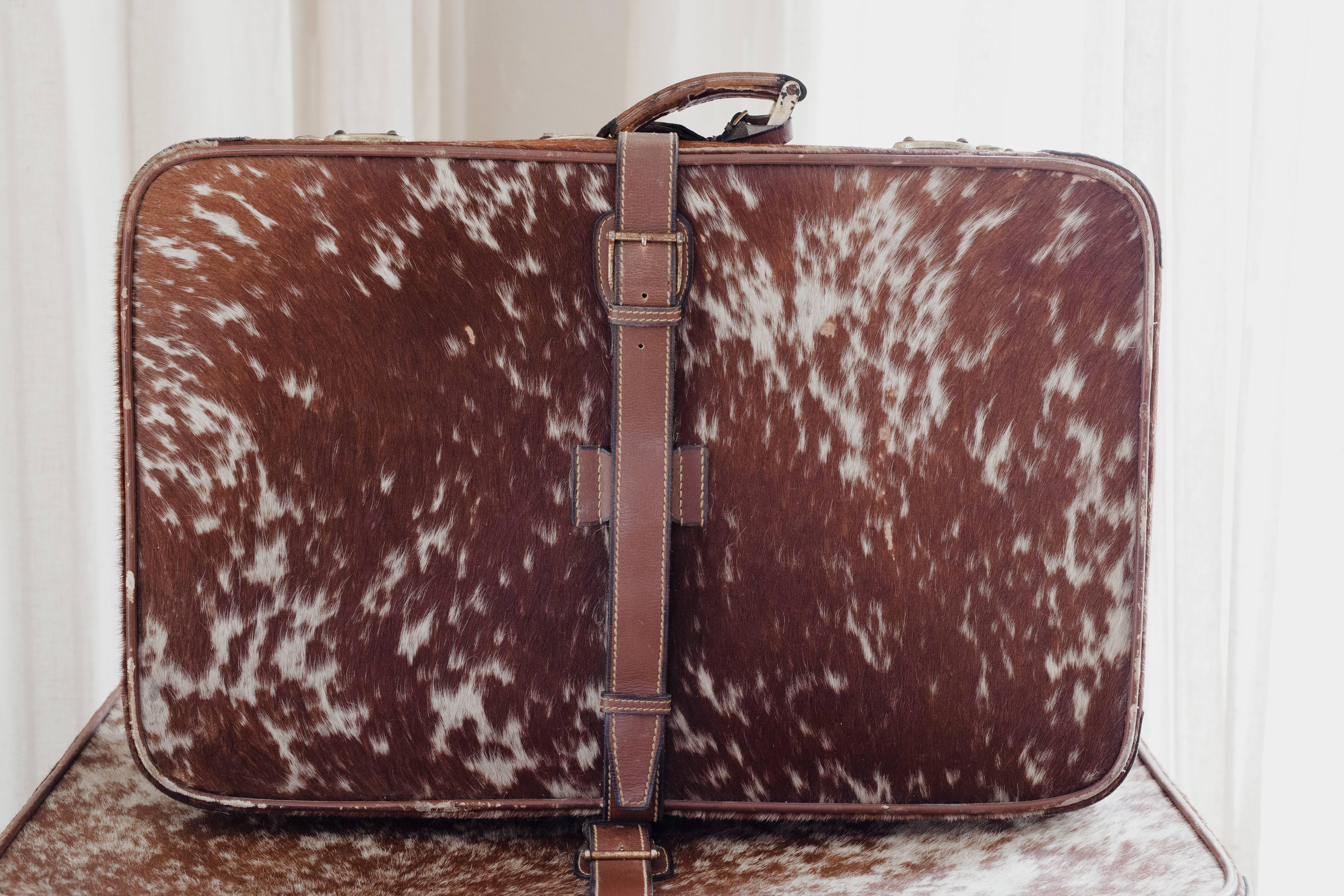 20th Century French Set of Four Suitcases, Leather and Ponyskin For Sale 1