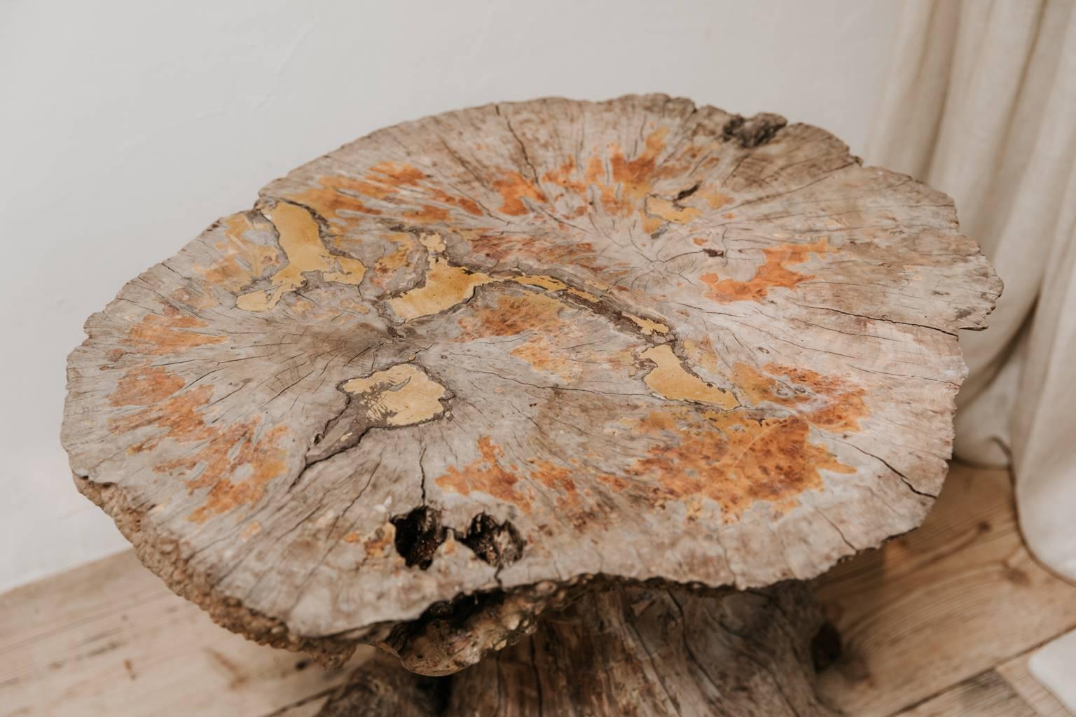 19th century treetrunk table. When furniture becomes art.