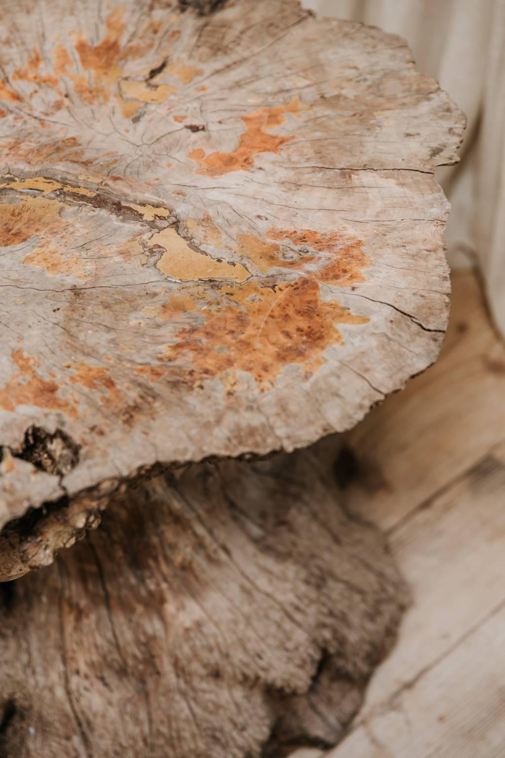 19th Century Treetrunk Table In Good Condition In Brecht, BE