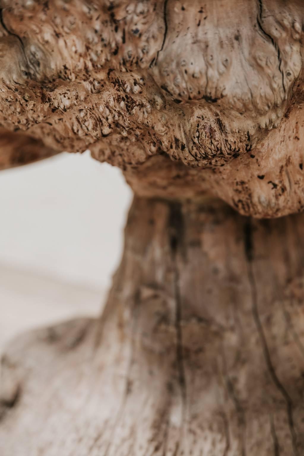 19th Century Treetrunk Table 2