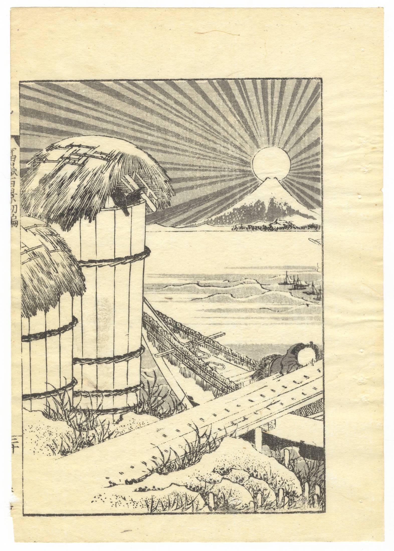 Dyed Hokusai Ukiyo-e Japanese Woodblock Print 100 Views of Mt. Fuji Landscape Diptych