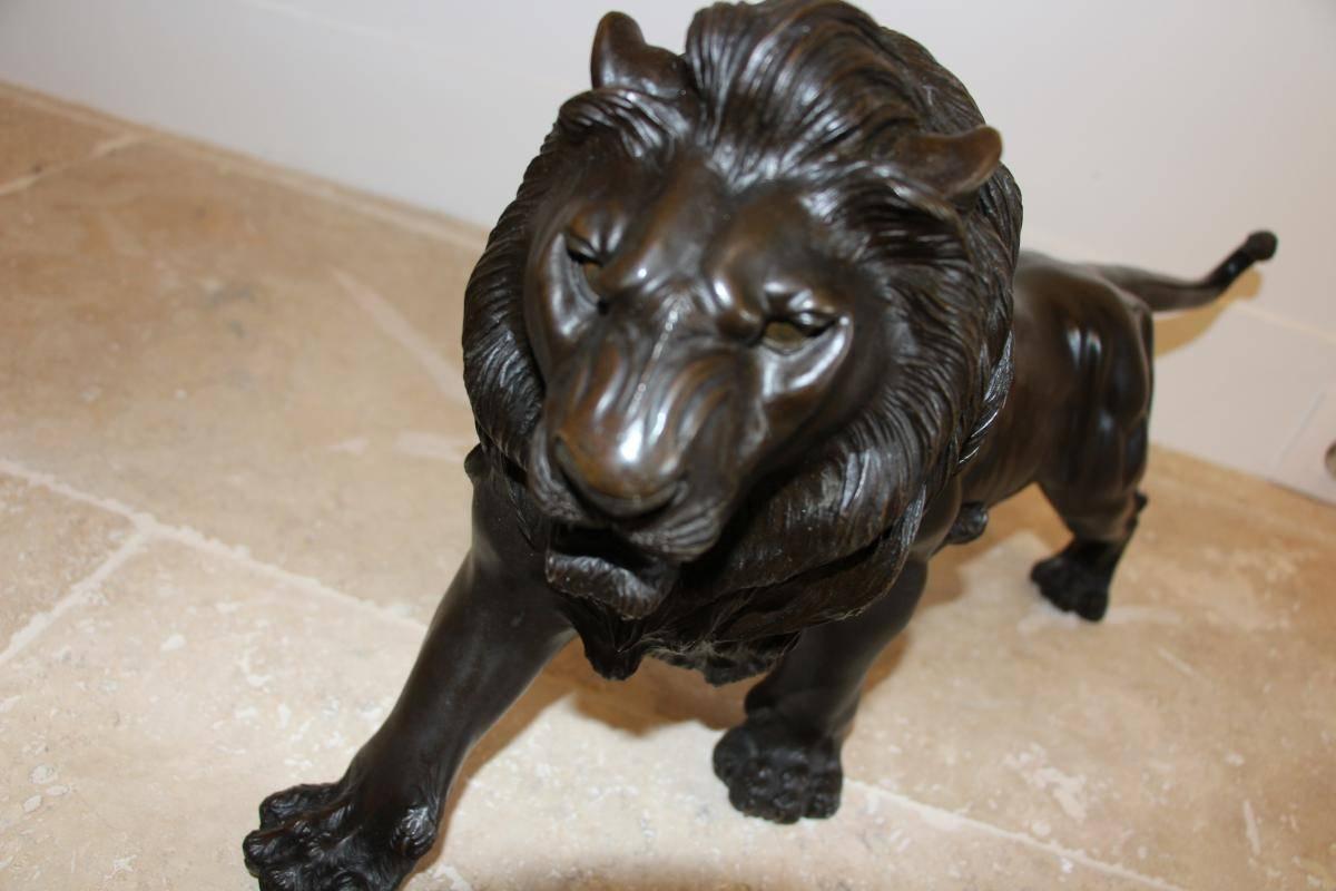 Japanese Late 19th Century Bronze Represent a Lion Japan For Sale