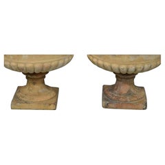 Pair of 19th Century Stone Planters