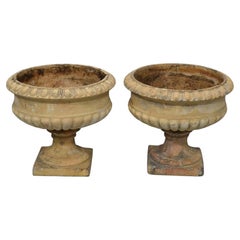 Pair of 19th Century Stone Planters
