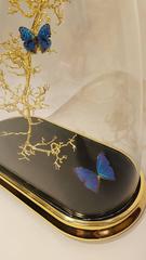 Oval Butterfly Dome