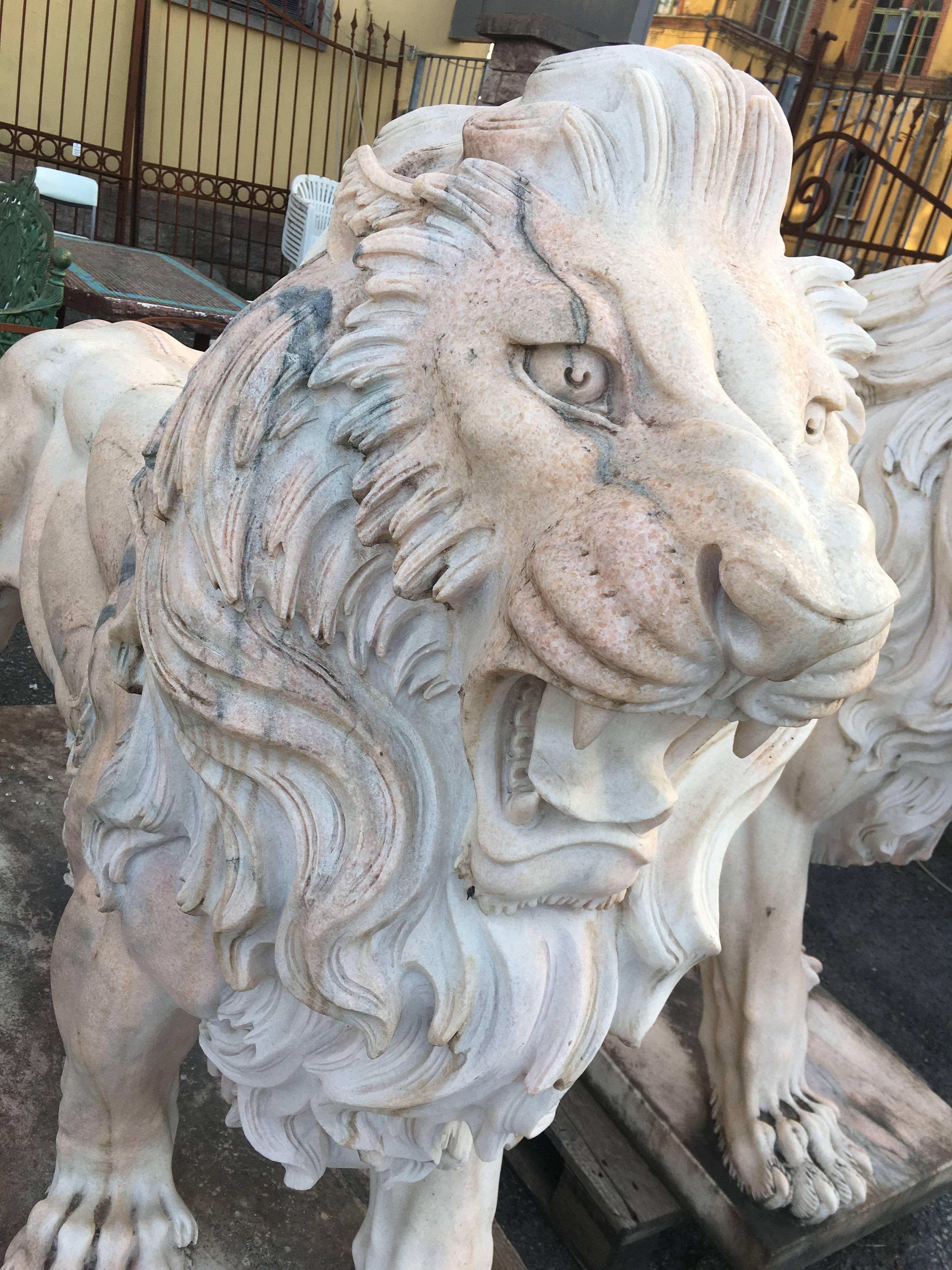 LAST SALE Early 20th Century Large White Marble Lion, Italy 1