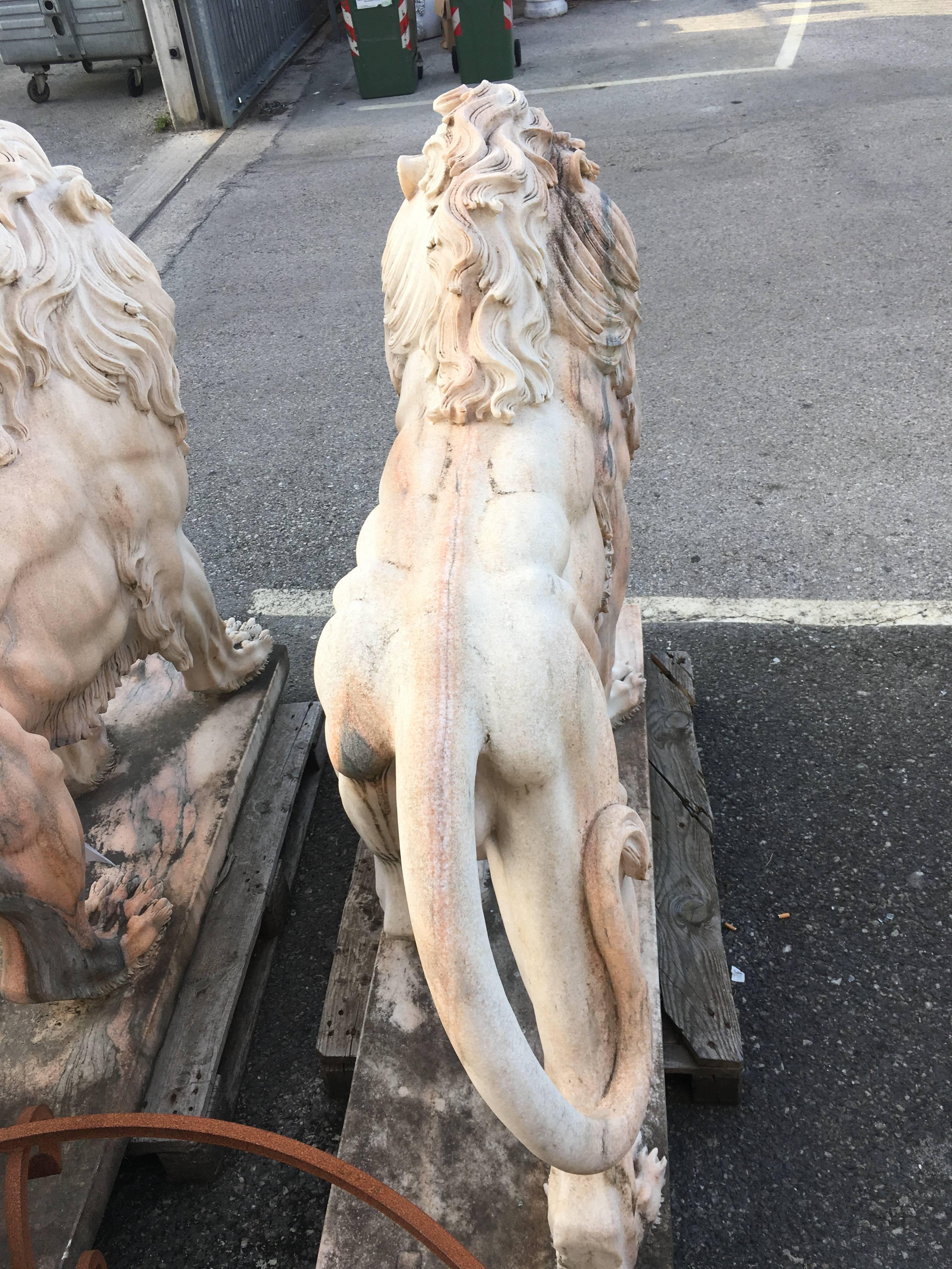 LAST SALE Early 20th Century Large White Marble Lion, Italy In Excellent Condition In Sofia, BG