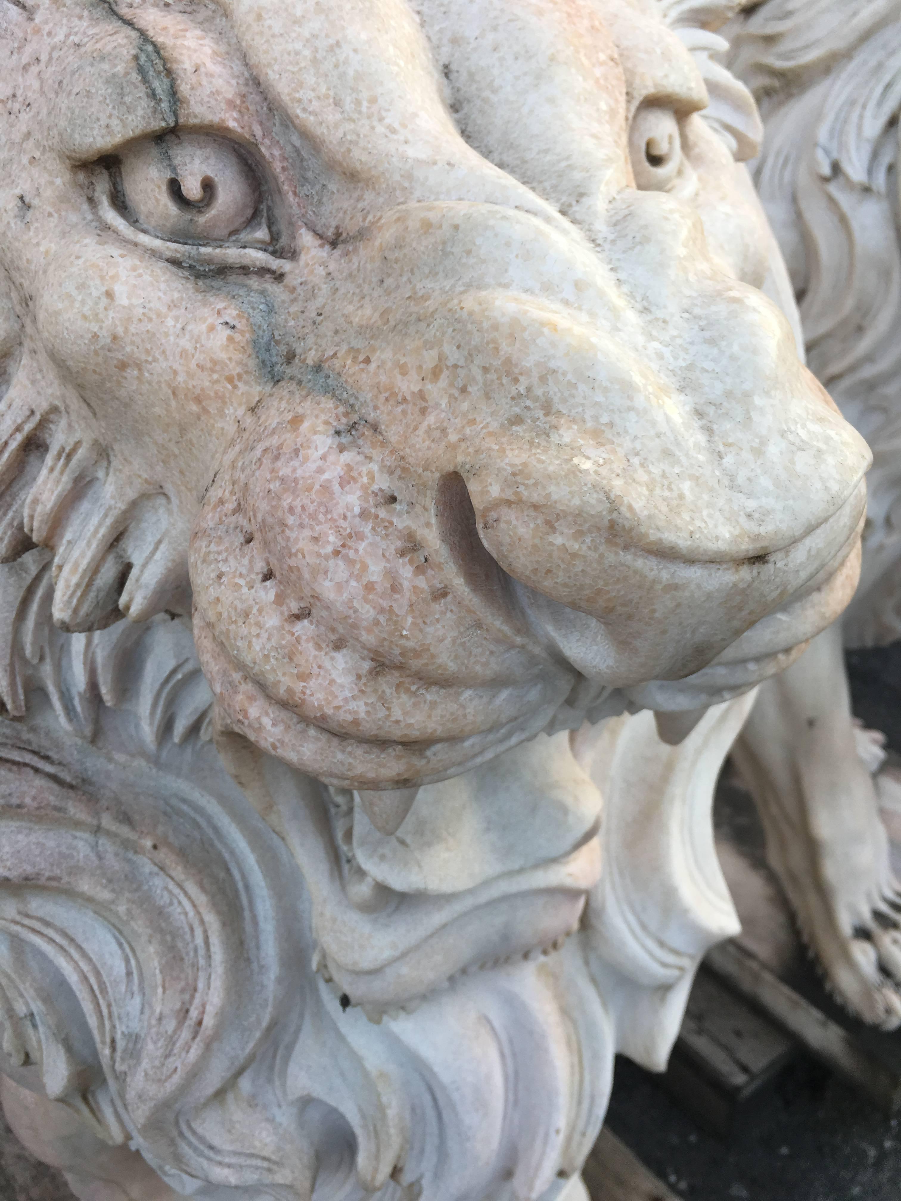 Early 20th century large white solid marble lion, Italy

Impressive carved marble lion garden statue on pedestal

The color is a soft cream with different variations. Beautifully carved!