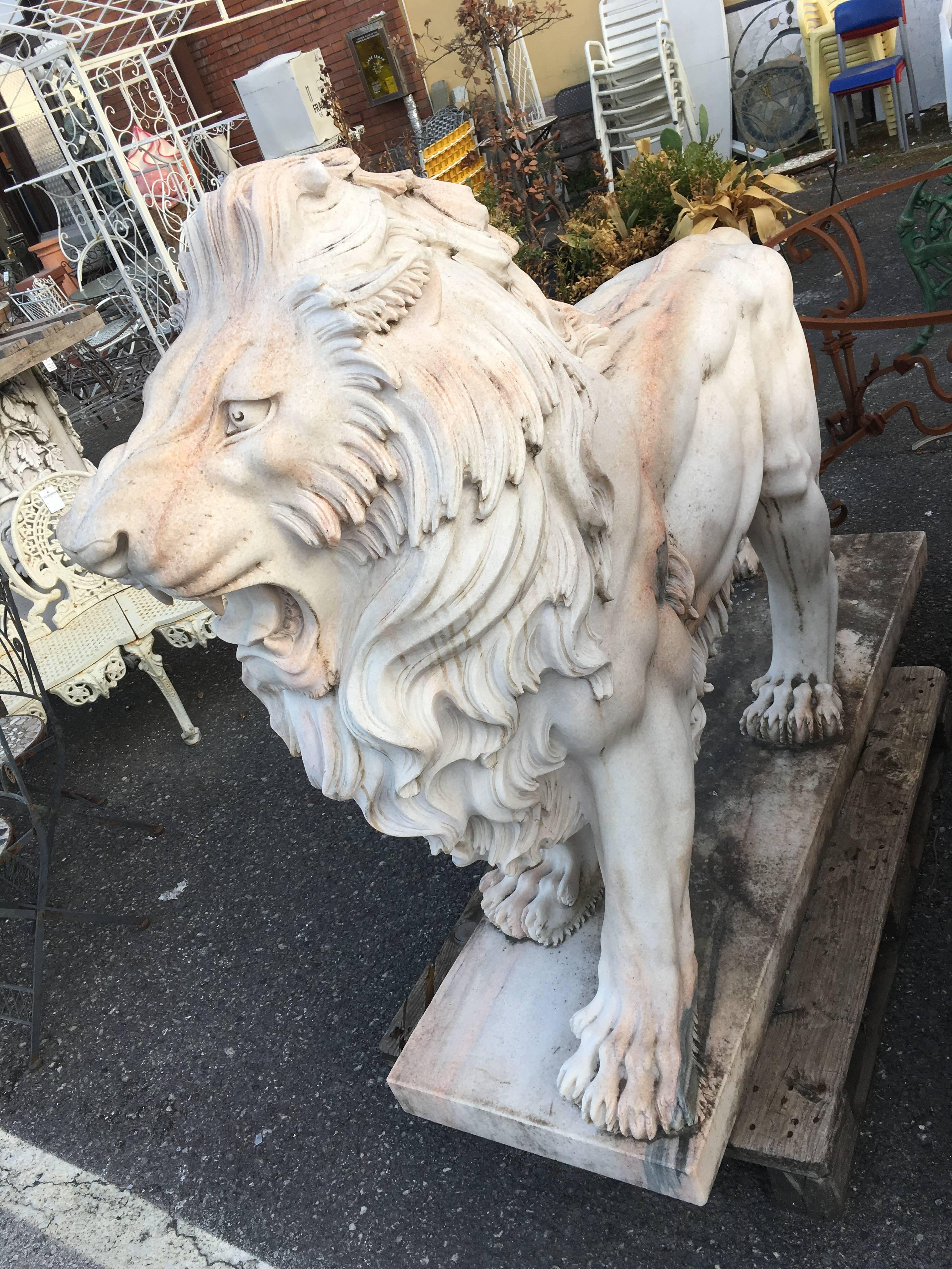LAST SALE Early 20th Century Large White Marble Lion, Italy 4
