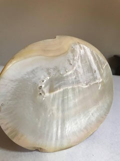 Mother-of-Pearl Shell Tray / Caviar Plate