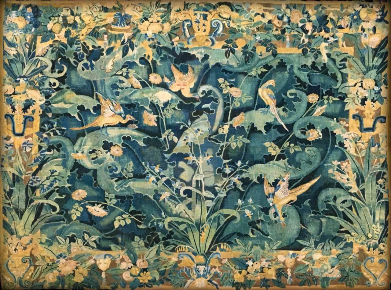 Beautiful very tapestry panel from Enghien (Flanders), high smooth, from the second half of the sixteenth century (after 1544), wool and silk, probably from the Alexander workshop, decorated with cabbage leaf or Aristoloches, gnomes and phoenix.
