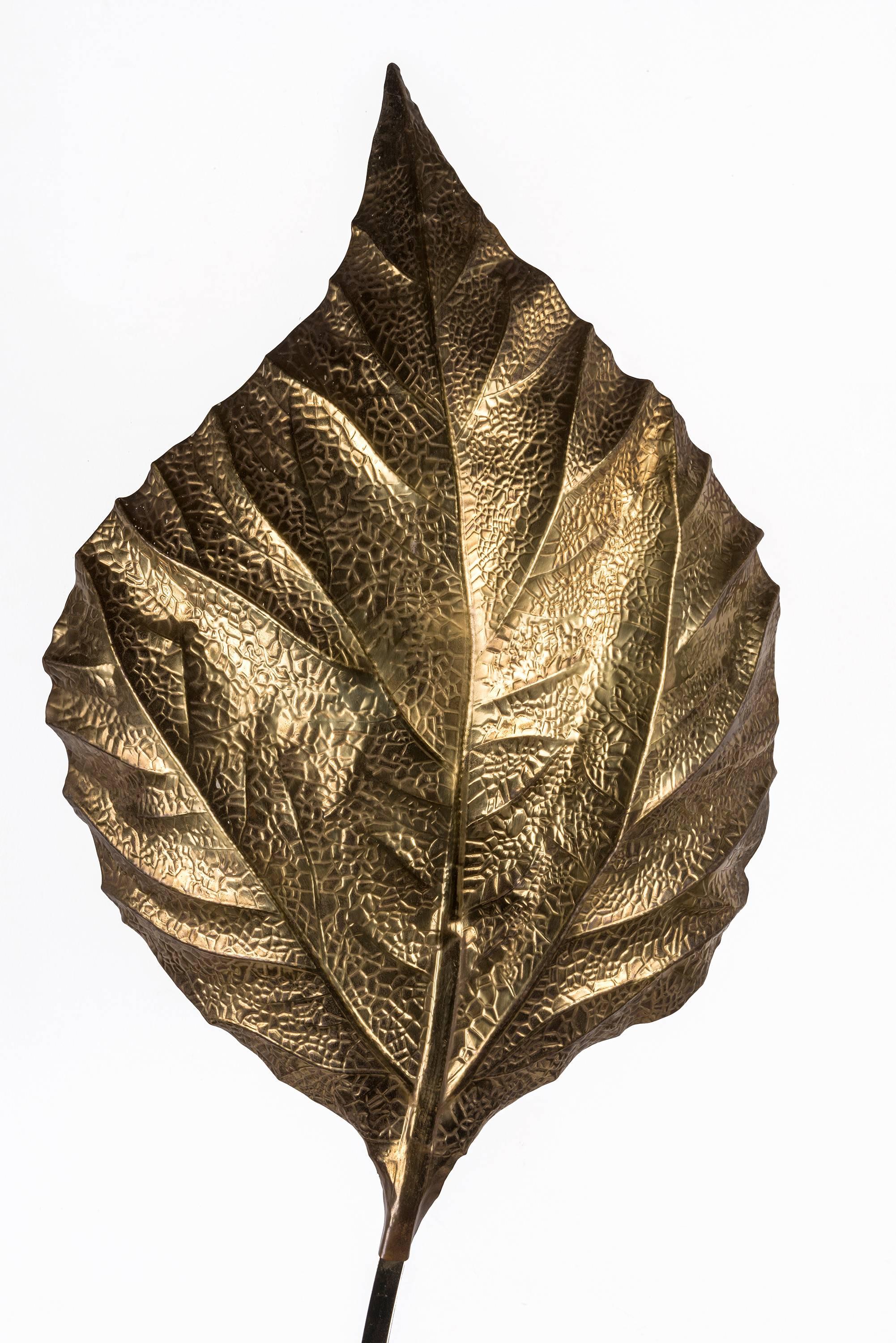 Mid-Century Modern Tommaso Barbi, Iconic Rhubarb Leaf Brass Floor Lamp For Sale