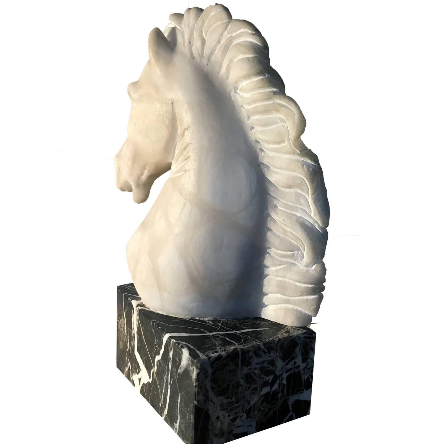 Neoclassical marble horse head; the sculpture is in alabaster (a mineral rock traditionally used in tuscany) and in the base is made with a very rare marble, the black of Aquitania, a precious marble from France.