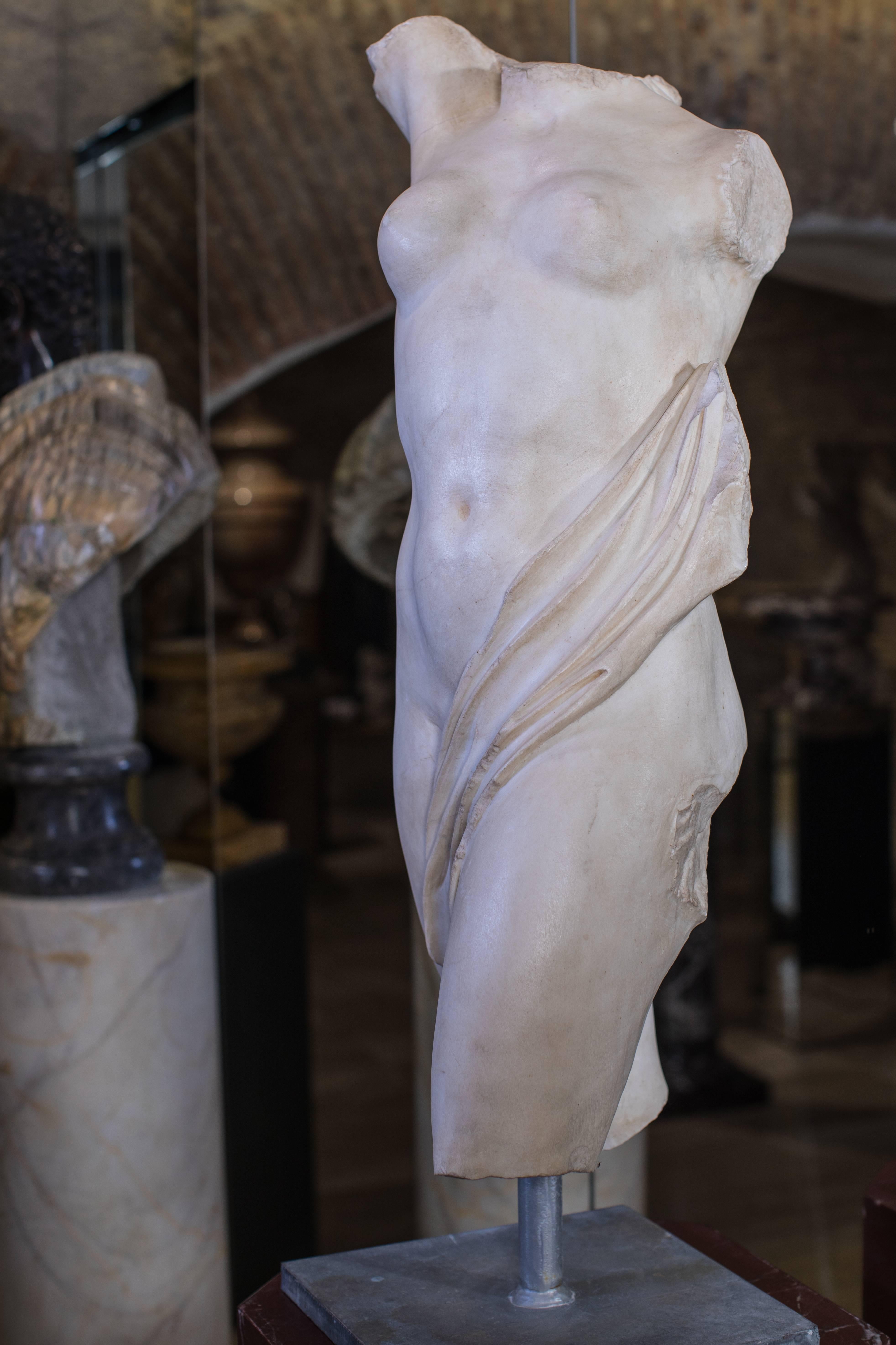 Classical Roman Roman Marble Torso, 20th Century