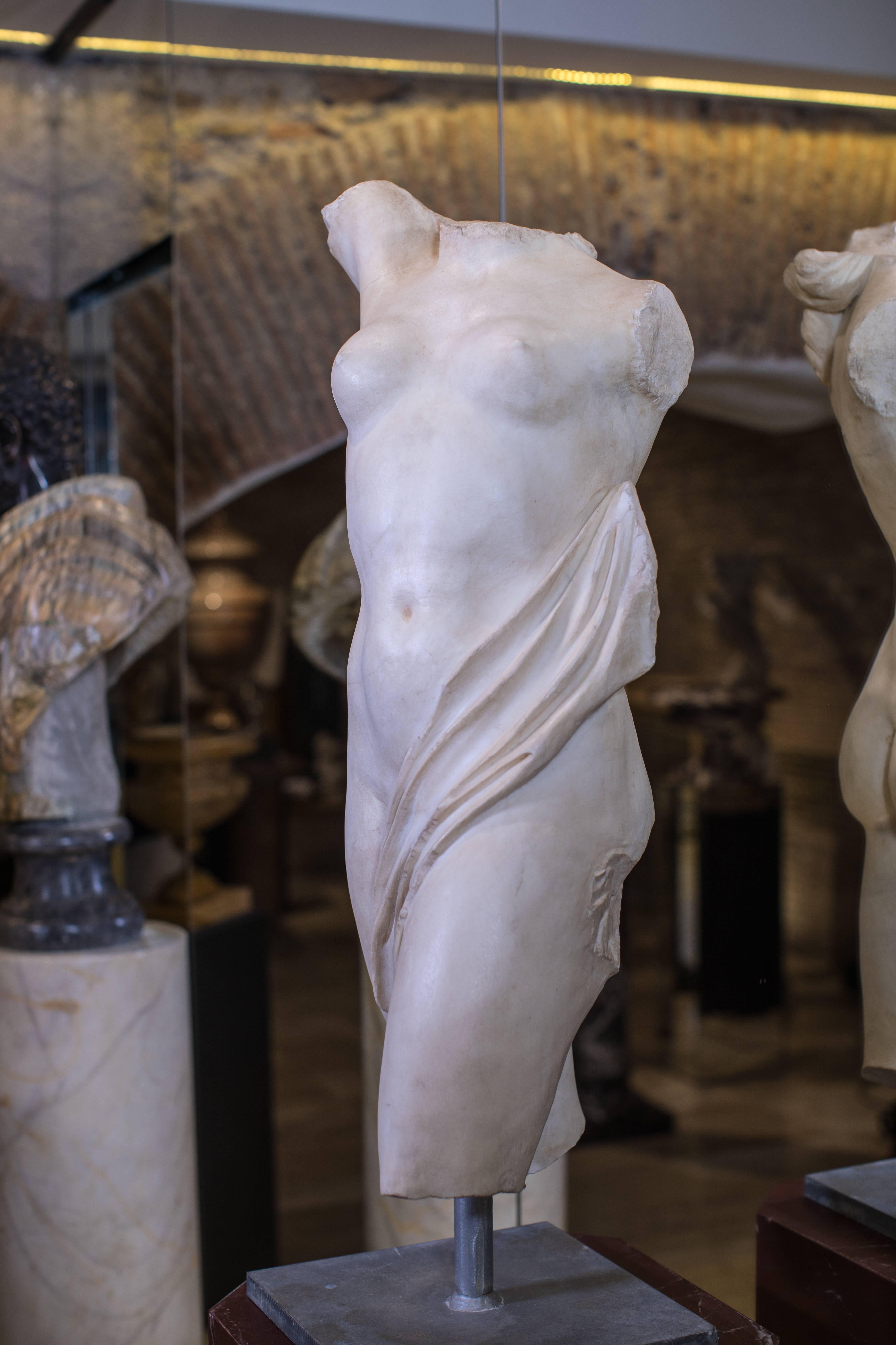 Italian Roman Marble Torso, 20th Century