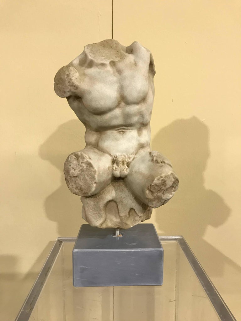 19th Century Torso Belvedere Italian Sculpture in Marble at 1stDibs