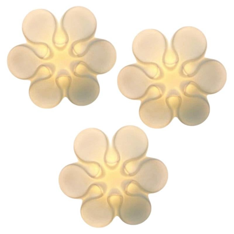 Daisy White Ceramic Glass Wall Lights, Belga, circa 1920s For Sale