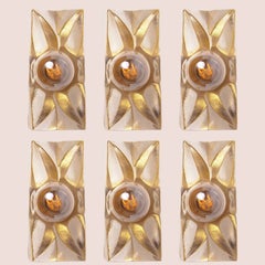 Several Flower Wall Lights, Brass and Glass by Sische, Germany 1970s