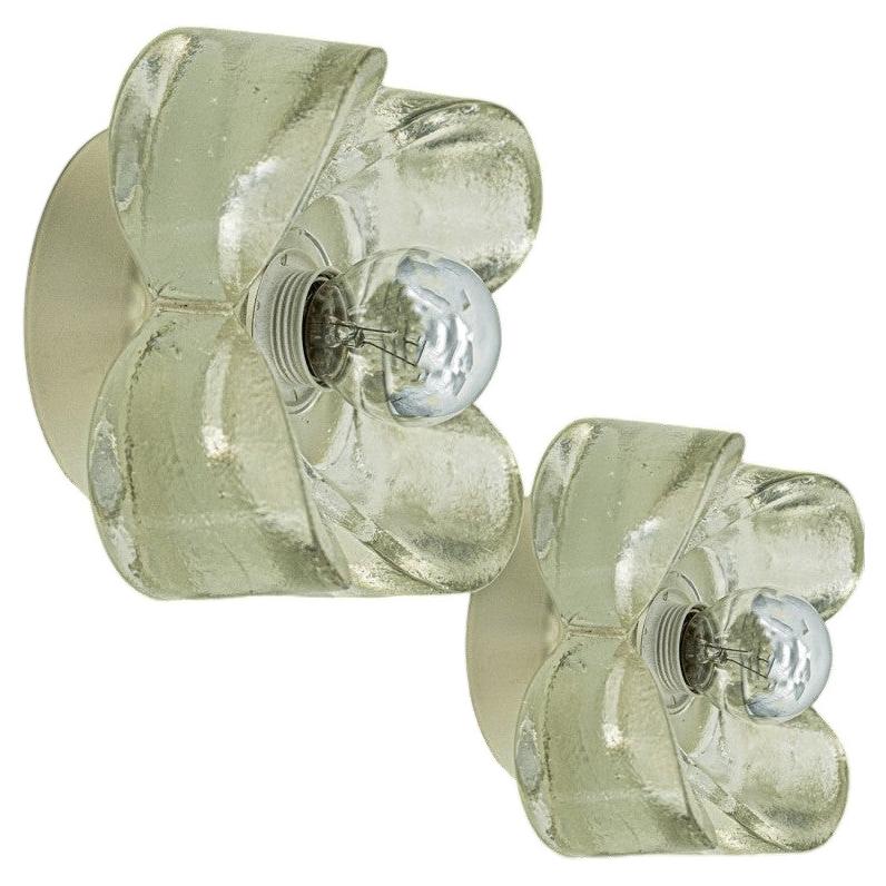 Several Flower Wall Lights, Brass and Glass by Sische, 1970s, Germany For Sale