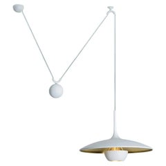 Onos Fixture With Side Counter Weights by Florian Schulz (Copy)