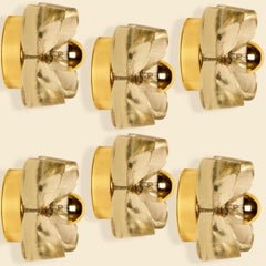 Several Flower Wall Lights, Brass and Glass by Sische, 1970s, Germany