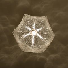 Clear Glass Flower Pendant Lamp by Kaiser, Leuchten, Germany