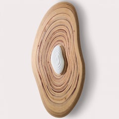 Organic Shaped Routed Birch Plywood Ceramic Wall Light, Floris Meijer