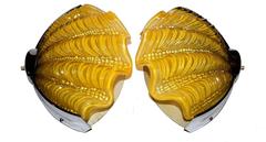 1930s Art Deco Daffodil Yellow Shell Wall Lights or Sconces