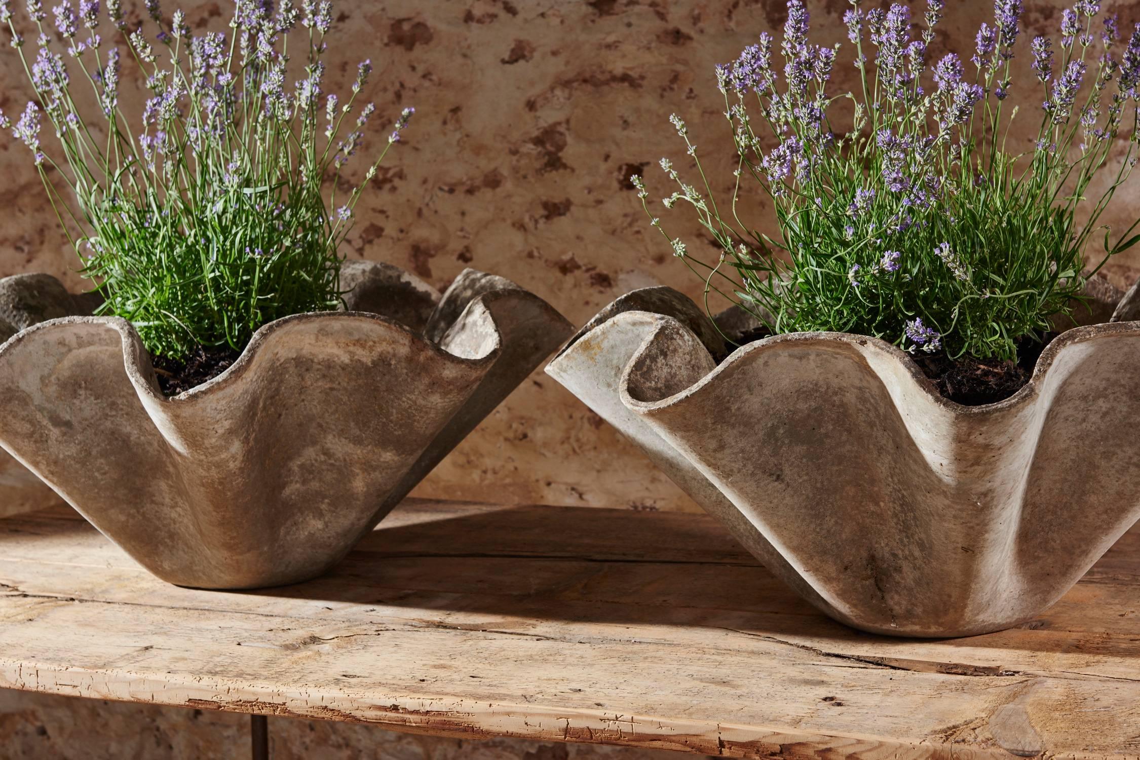 Pair of Willy Handkerchief Planters 2