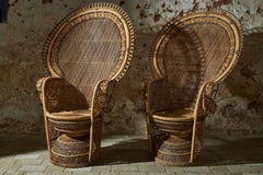 Peacock Chairs